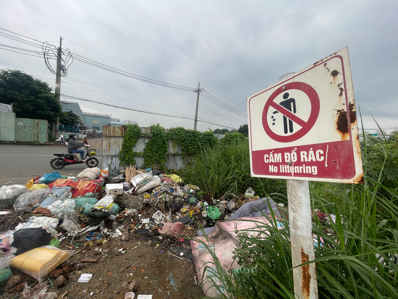 Bên lề đường đối diện có gắn bảng cấm, biển cảnh báo nhưng rác vẫn hiện hữu và ngày càng nhiều . Bên lề đường đối diện có gắn bảng cấm, biển cảnh báo nhưng rác vẫn hiện hữu và ngày càng nhiều .