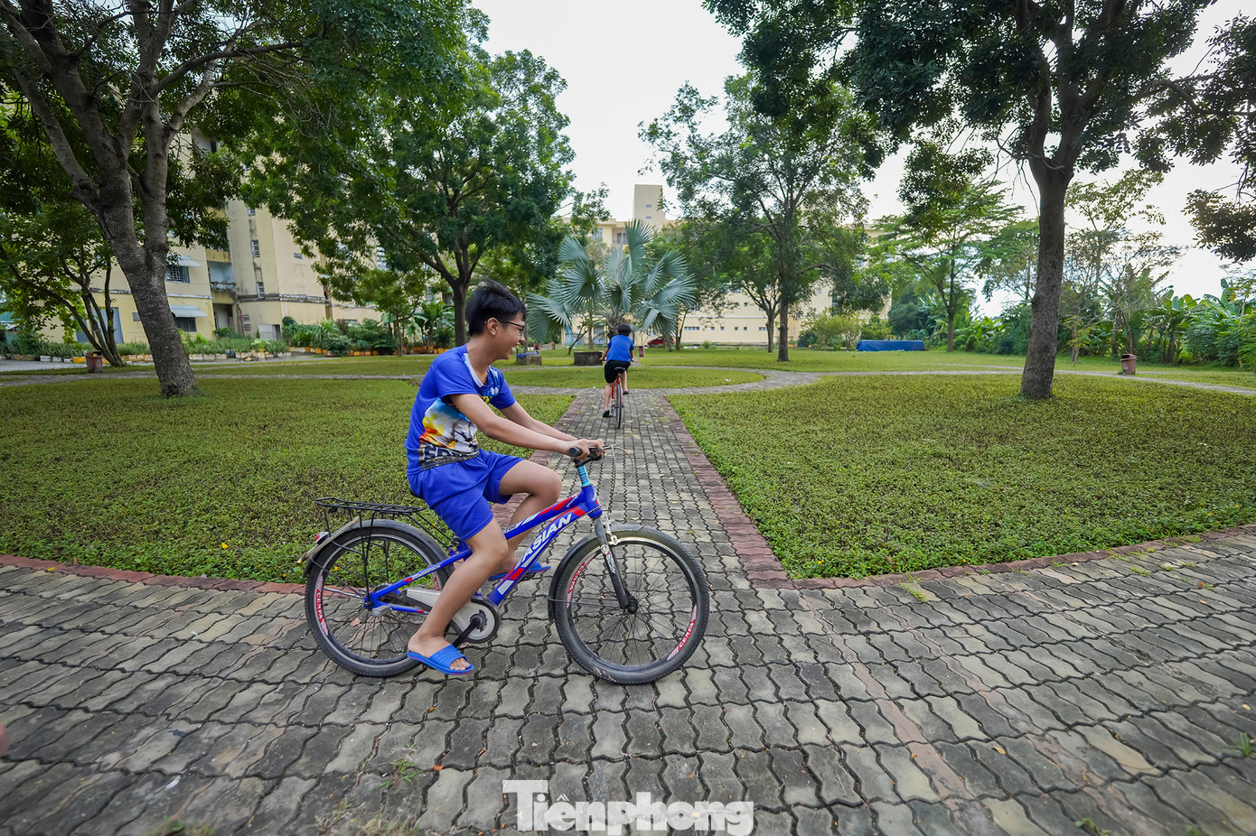 Khu vực C, nơi có các dãy căn hộ màu vàng có lẽ cũng là nơi có đông dân cư nhất khu tái định cư.