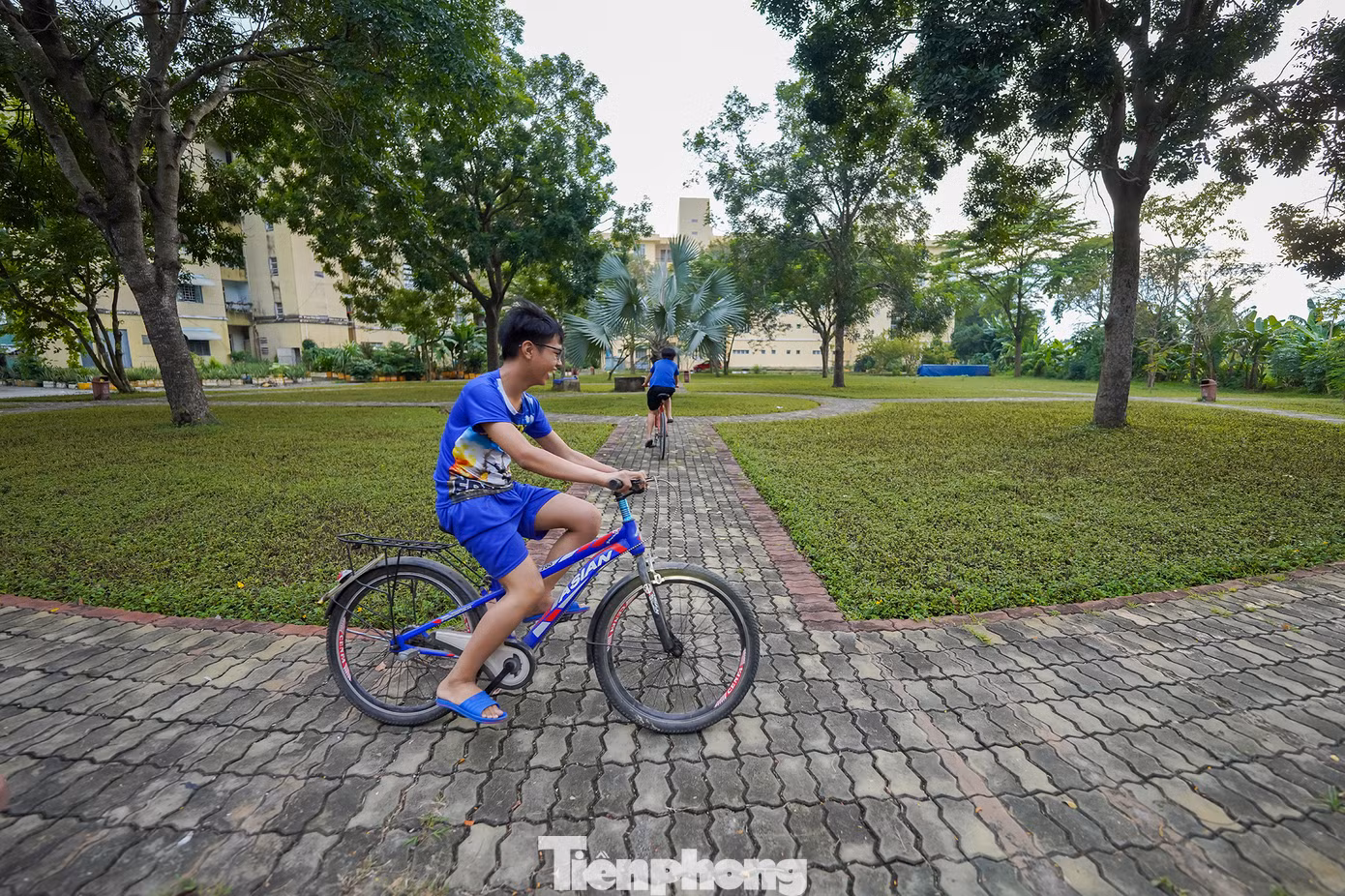 Khu vực C, nơi có các dãy căn hộ màu vàng có lẽ cũng là nơi có đông dân cư nhất khu tái định cư.