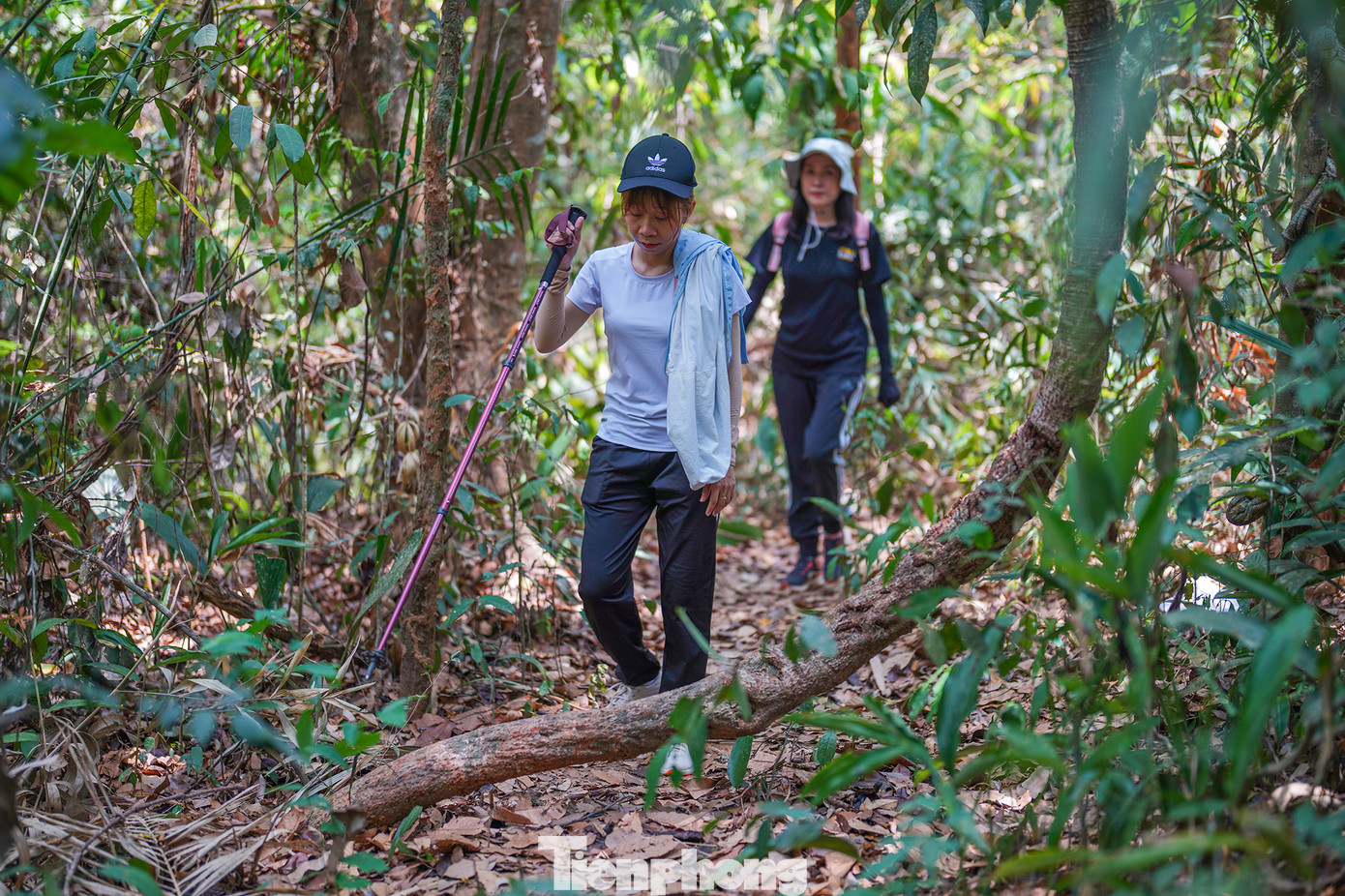 Nếu là một người đam mê trekking thì Đa Mi cũng là một địa điểm bạn có thể thử sức. Bạn có thể tham khảo lộ trình xuất phát từ xã Đa Mi, đi bộ khoảng 7 km với những con đường dốc và khá gập ghềnh. Nếu đi từ đảo Du Mục, du khách được đò đưa qua điểm tập kết, đi cung đường khoảng 3km là có thể lên được suối Đá Bàn. Nếu là một người đam mê trekking thì Đa Mi cũng là một địa điểm bạn có thể thử sức. Bạn có thể tham khảo lộ trình xuất phát từ xã Đa Mi, đi bộ khoảng 7 km với những con đường dốc và khá gập ghềnh. Nếu đi từ đảo Du Mục, du khách được đò đưa qua điểm tập kết, đi cung đường khoảng 3km là có thể lên được suối Đá Bàn.