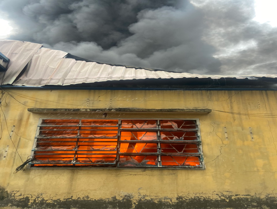 Theo công an huyện Đức Hòa, công ty này chuyên sản xuất valy, túi xách và các loại tương tự, trong đó có sản xuất và gia công sợi, dây đai các loại cho ngành may túi xách. Theo công an huyện Đức Hòa, công ty này chuyên sản xuất valy, túi xách và các loại tương tự, trong đó có sản xuất và gia công sợi, dây đai các loại cho ngành may túi xách.