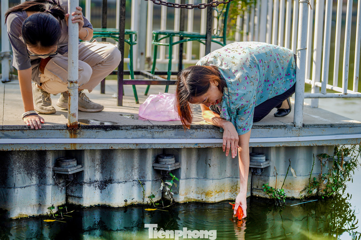 Theo quan niệm dân gian, ông Công, ông Táo sẽ cưỡi cá chép để lên trời báo cáo với Ngọc Hoàng về những việc làm tốt, xấu của gia đình trong năm. Việc phóng sinh cá chép như một cách tiễn đưa các ngài lên Thiên đình. Phóng sinh cá chép được xem là hành động cầu mong một năm mới bình an, hạnh phúc và may mắn. Theo quan niệm dân gian, ông Công, ông Táo sẽ cưỡi cá chép để lên trời báo cáo với Ngọc Hoàng về những việc làm tốt, xấu của gia đình trong năm. Việc phóng sinh cá chép như một cách tiễn đưa các ngài lên Thiên đình. Phóng sinh cá chép được xem là hành động cầu mong một năm mới bình an, hạnh phúc và may mắn.