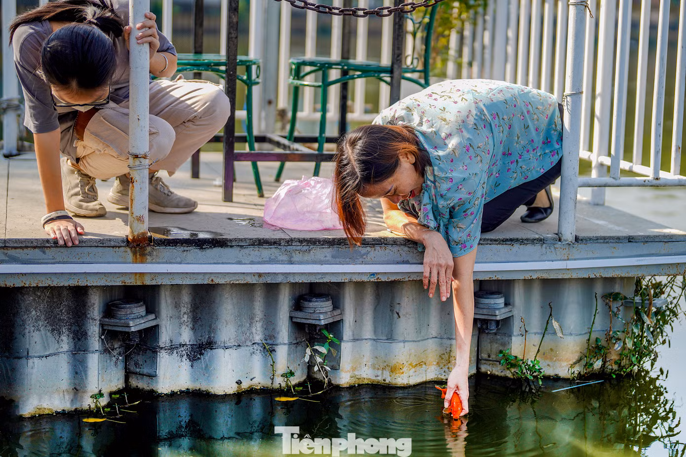 Theo quan niệm dân gian, ông Công, ông Táo sẽ cưỡi cá chép để lên trời báo cáo với Ngọc Hoàng về những việc làm tốt, xấu của gia đình trong năm. Việc phóng sinh cá chép như một cách tiễn đưa các ngài lên Thiên đình. Phóng sinh cá chép được xem là hành động cầu mong một năm mới bình an, hạnh phúc và may mắn.