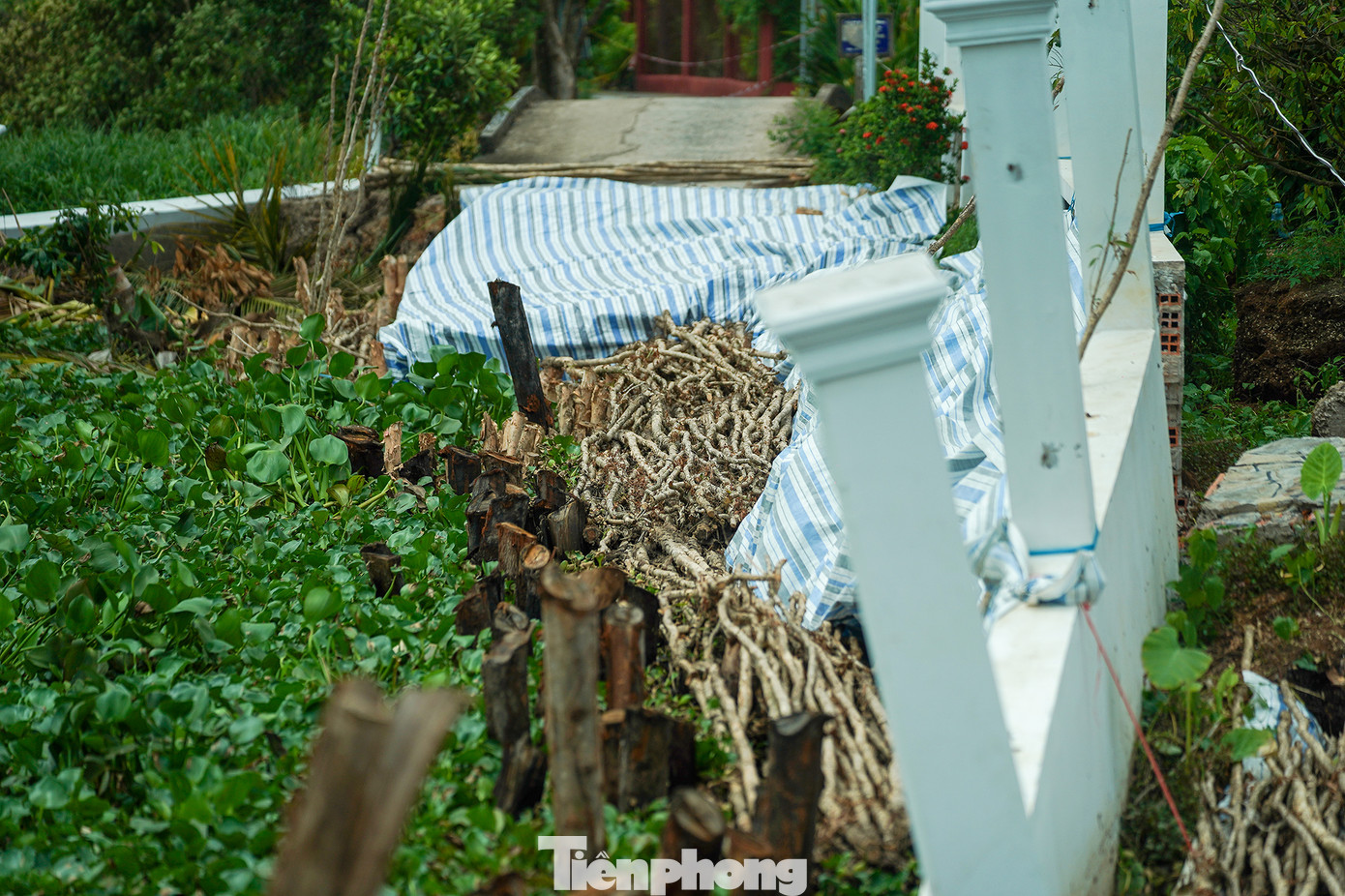 Con đường bị sạt lở không còn dấu tích. Con đường bị sạt lở không còn dấu tích.