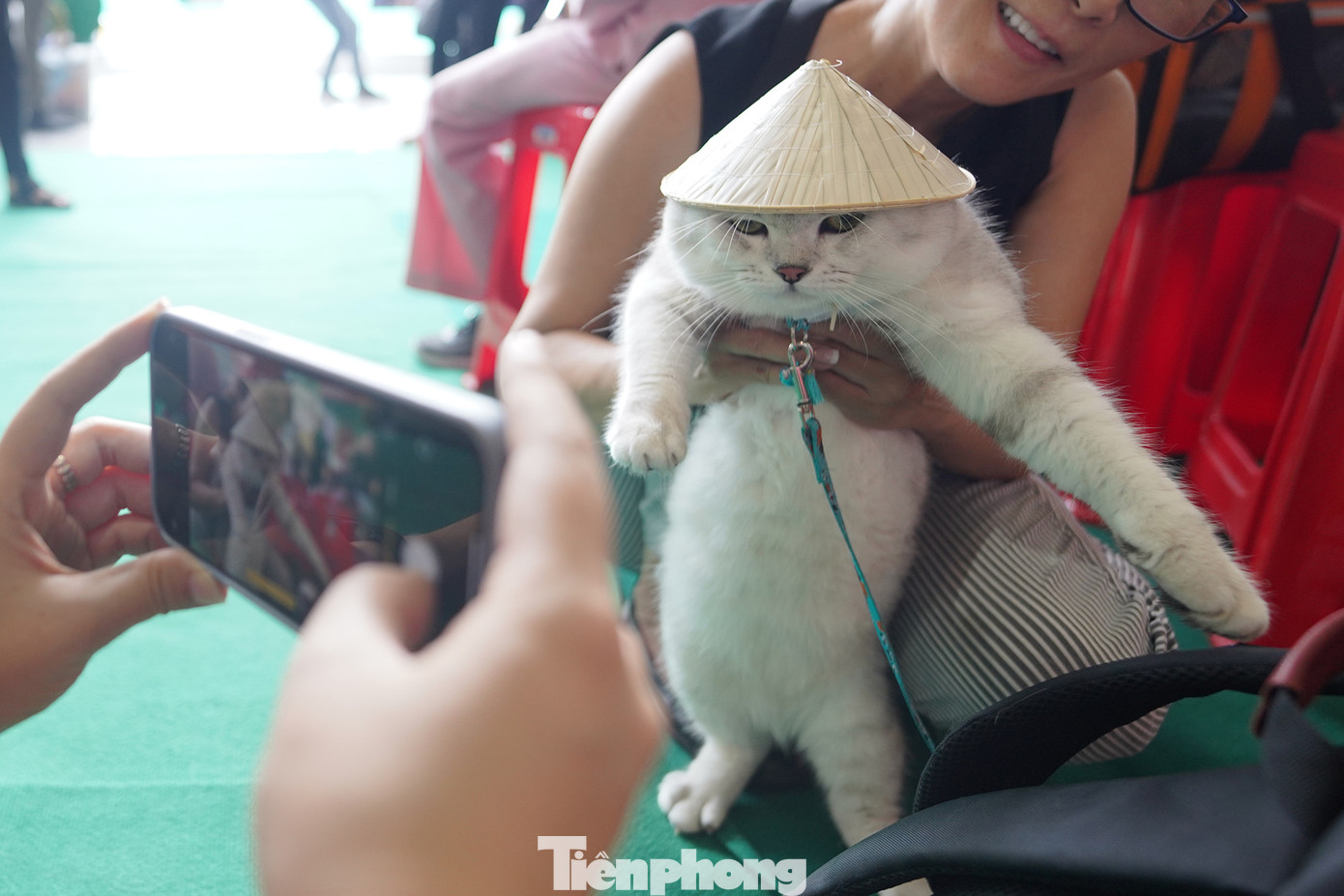 Tại đây, 600 thú cưng sẽ được giao lưu, chơi đùa tại khu trò chơi và nhận những phần quà đến từ các gian hàng sản phẩm. Mỗi thành viên đăng ký dự thi đóng phí 49.000 đồng và tổng số tiền thu được sẽ được ban tổ chức trao tặng cho các trạm cứu trợ động vật.