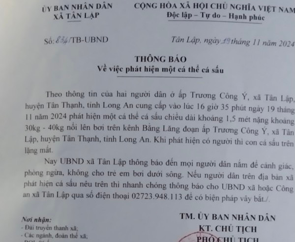 Hiện cơ quan chuyên môn huyện Tân Thạnh và UBND xã Tân Ninh tiếp tục ngày đêm tuần tra trên các tuyến kênh để nhanh chóng truy bắt cá sấu mang lại cuộc sống yên bình cho người dân. Bên cạnh việc tìm kiếm, cơ quan chức còn phát thông cáo cảnh báo.