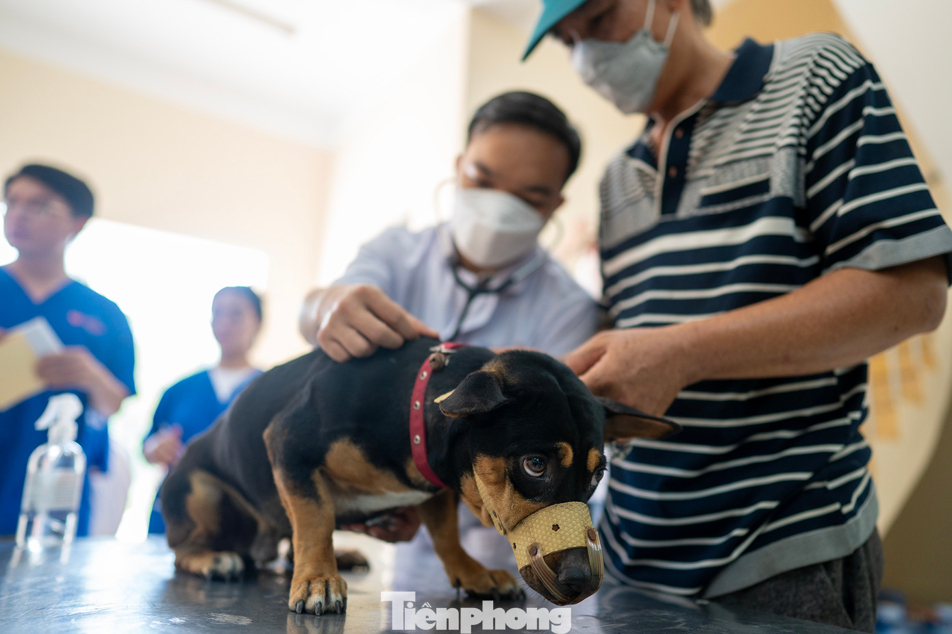 Năm nay, Boehringer Ingelheim phối hợp cùng trường Đại học Nông Lâm TPHCM và Công ty Cổ phần Thuốc thú y Trung ương Navetco triển khai chiến dịch. Trường Đại học Nông Lâm TPHCM đóng vai trò cung cấp những hiểu biết chuyên môn và nhân lực thực hiện chiến dịch. Có 60 sinh viên được đào tạo bài bản đã sẵn sàng tham gia đóng góp vào việc tiêm phòng bệnh dại, giáo dục người dân về tầm quan trọng của việc phòng dại để bảo vệ bản thân và những người xung quanh.