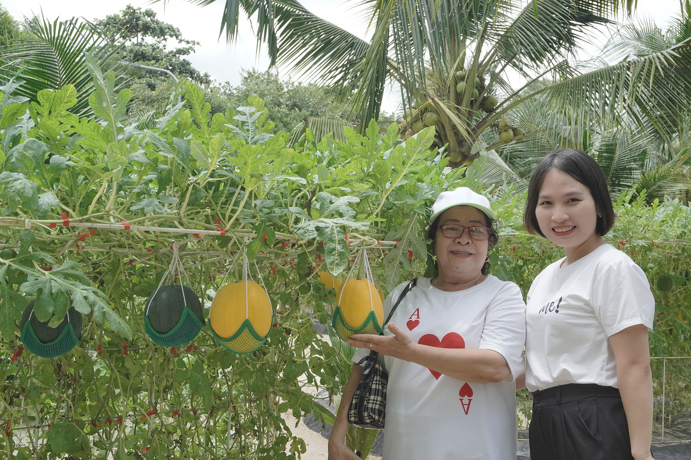 Cô Nhung (đội nón, ngụ TPHCM) chia sẻ: &quot;Tôi thích thú không gian nông trại này. Ở đây không gian xanh mát, thích hợp với người có tuổi như tôi đến tham quan, tận hưởng niềm vui bình dị cuộc sống&quot;.