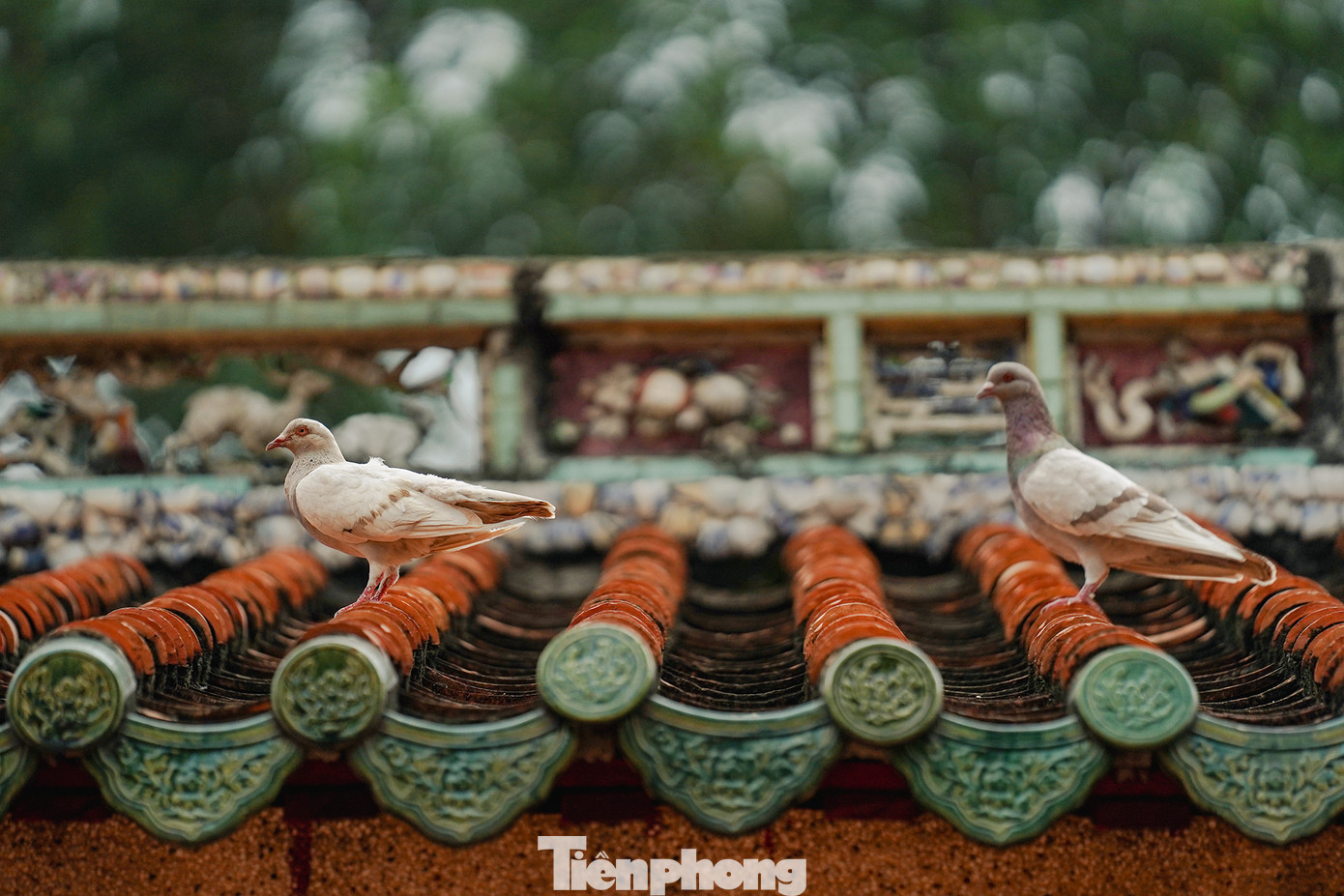 Bình yên lăng Ông. Bình yên lăng Ông.