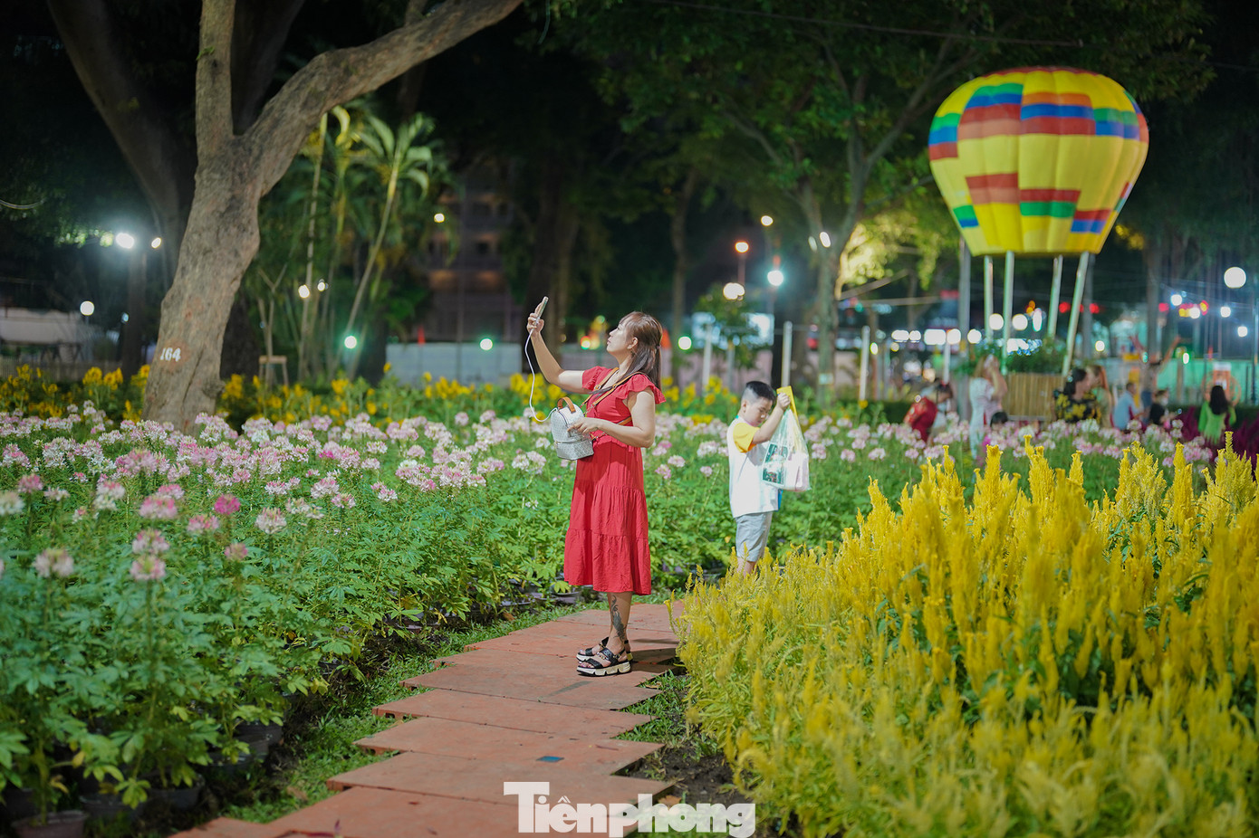 Không gian Hội Hoa Xuân năm nay có cả một cánh đồng hoa phục vụ nhu cầu chụp ảnh của du khách.