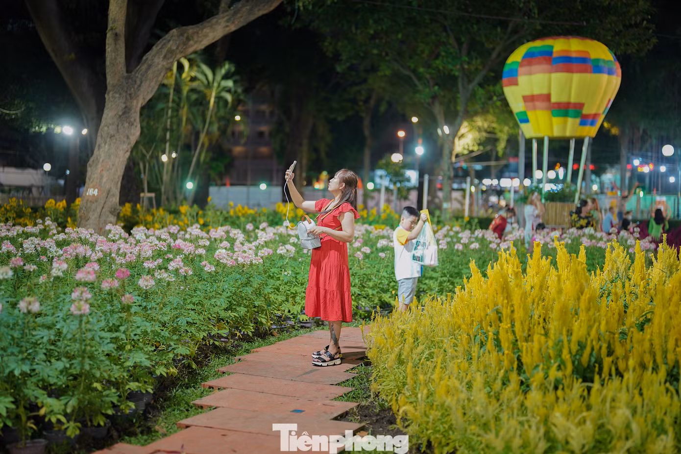 Không gian Hội Hoa Xuân năm nay có cả một cánh đồng hoa phục vụ nhu cầu chụp ảnh của du khách.