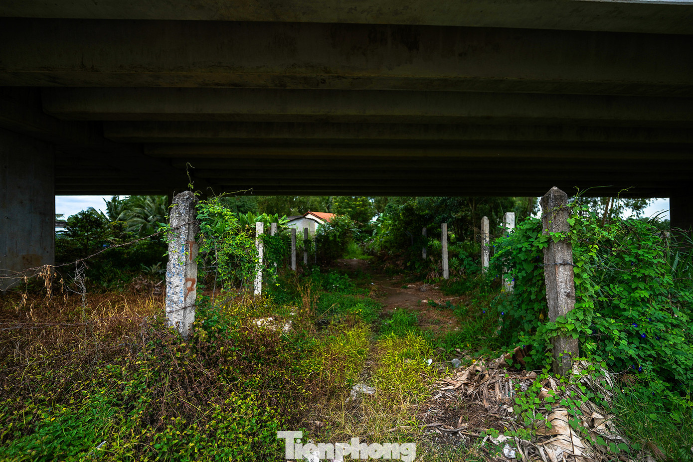 Người dân tự ý tháo kẽm gai, mở lối đi tắt vào nhà.