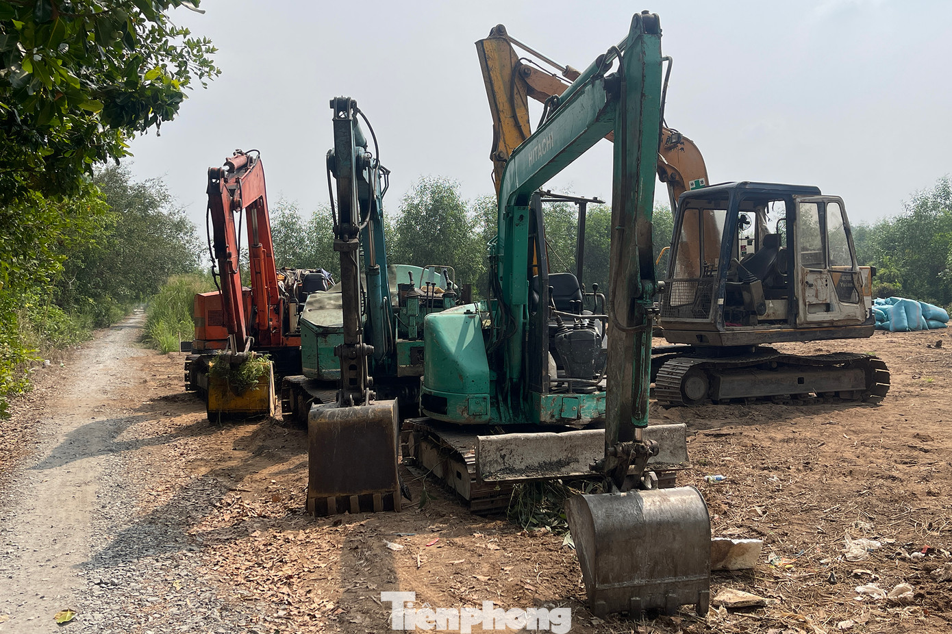 Do điều kiện cây cối um tùm, cơ quan chức năng phải điều động máy xúc phát quang.