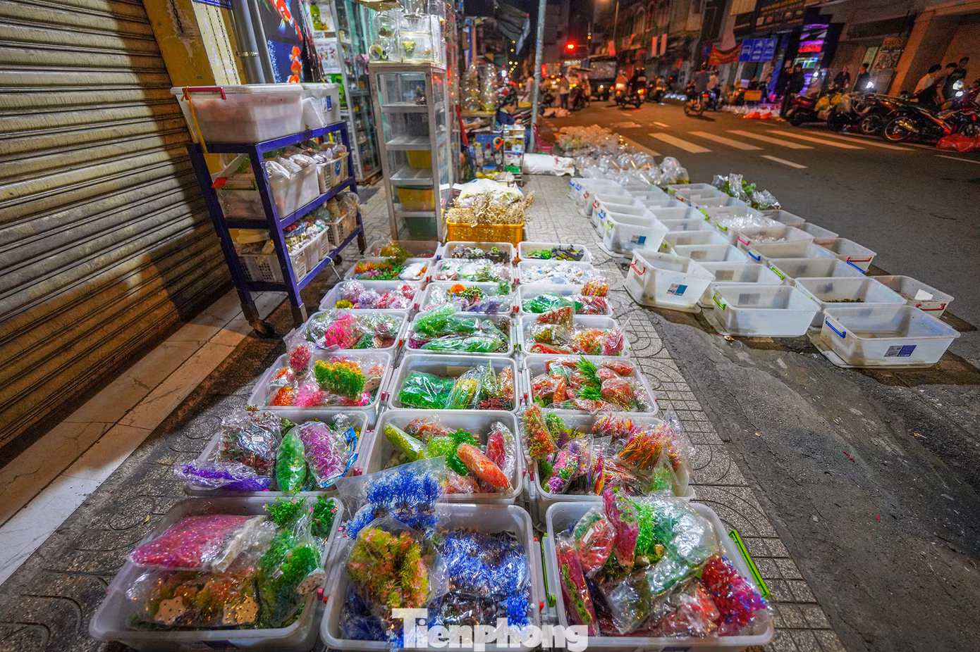 Ngoài bày bán các loại cá cảnh, như: bảy màu, blue tarzan, tiger, full gold, full red guppy, koi, la hán, beta, cá dĩa, ba đuôi…, tiểu thương còn bán trùn chỉ, bo bo, ba ba, rùa, ốc, rong, bèo, cua kiểng, cào cào, châu chấu, tép, nhái… cho đến các loại "thuỷ quái", đồ trang trí hồ cá bằng nhựa.
