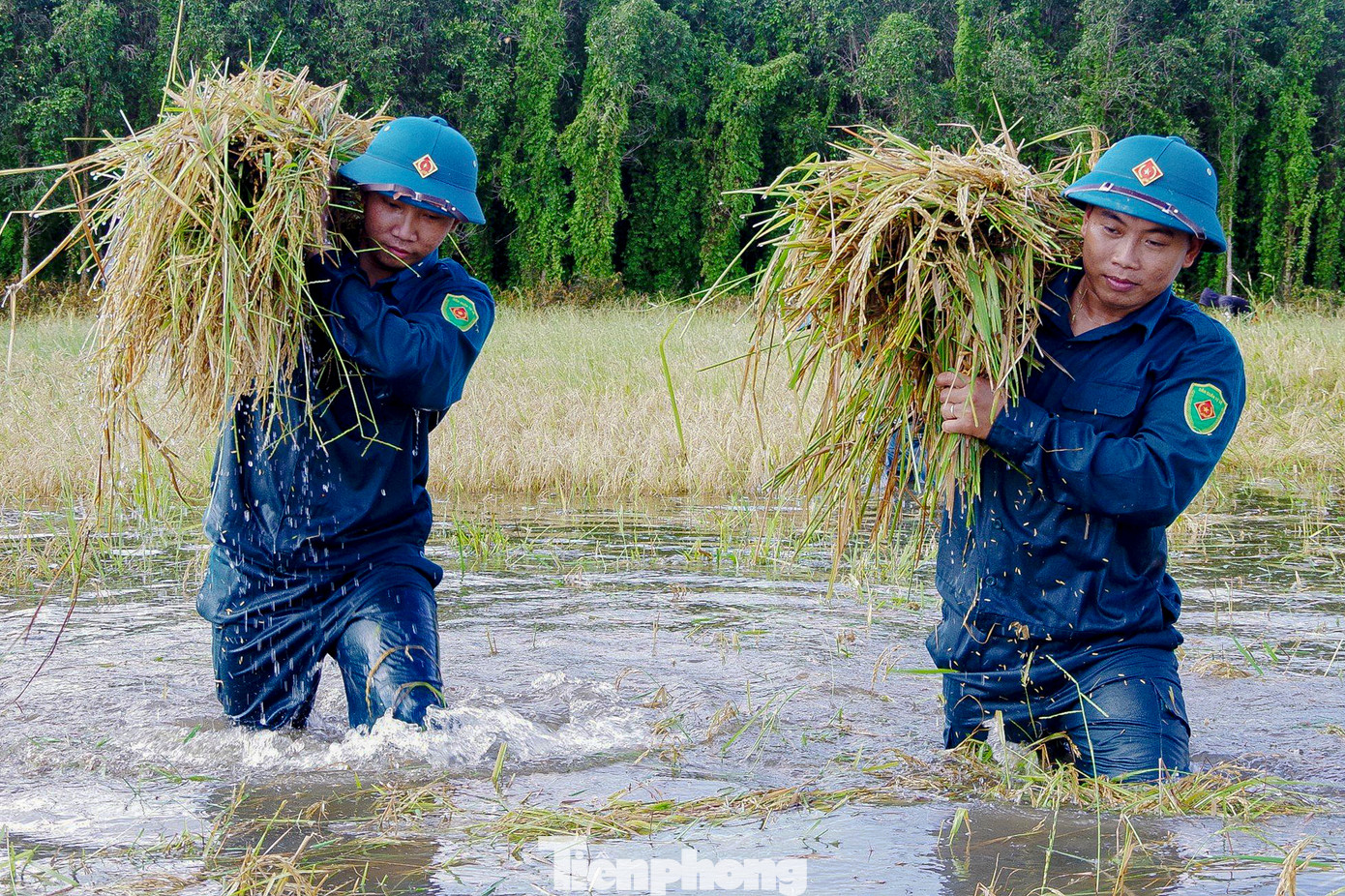 Giúp dân cứu lúa, chạy đua với thời gian. Ảnh: Biện Cường