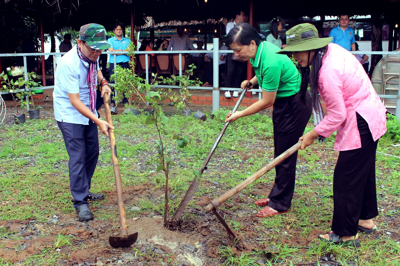 Những cây táo do cán bộ-chiến sĩ TPHCM và sinh viên nước bạn trồng. Cây táo là loại cây đặc biệt, sức sống dẻo dai, thích nghi với nhiều đặc tính môi trường. Ảnh: Thanh Tâm Những cây táo do cán bộ-chiến sĩ TPHCM và sinh viên nước bạn trồng. Cây táo là loại cây đặc biệt, sức sống dẻo dai, thích nghi với nhiều đặc tính môi trường. Ảnh: Thanh Tâm