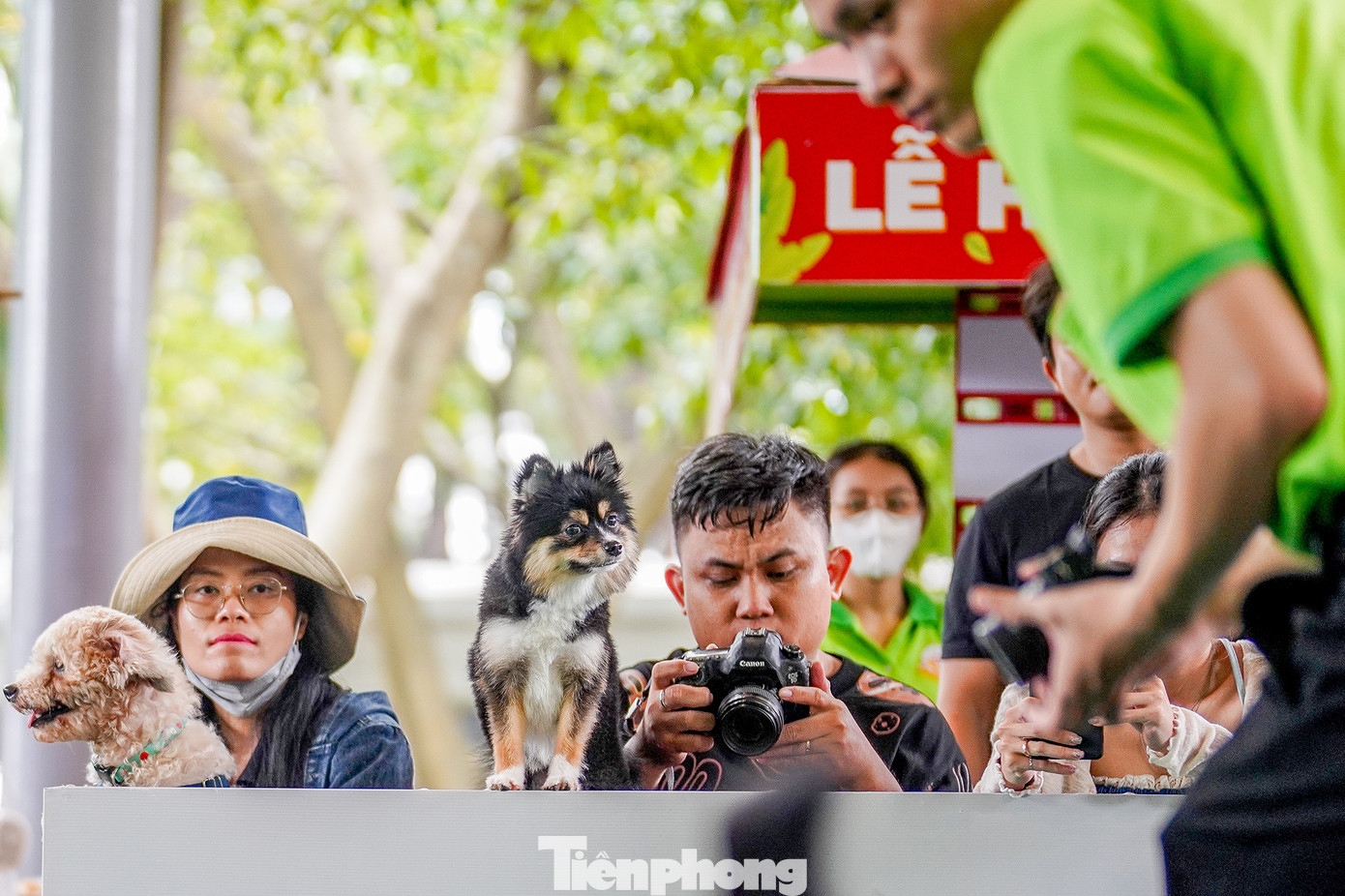 Khoảnh khắc đáng yêu thể hiện tính "nhiều chuyện" của hai chú cún.