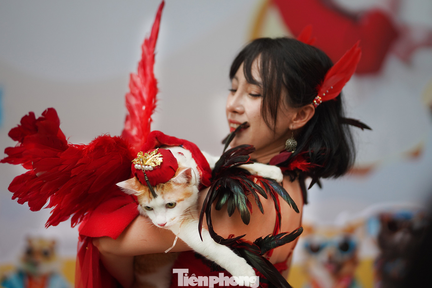 Chị Nguyễn Thảo Hiếu hoá trang chú mèo Misen của mình thành Phượng Hoàng lửa và giành giải cao trong phần thi thời trang thú cưng.