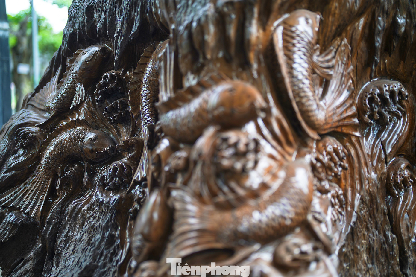 Theo quan niệm của người phương Đông, Cá chép là biểu tượng linh thiêng cao quý cho sự kiên trì, bền bỉ. Dân gian truyền tai nhau câu chuyện truyền thuyết Cá chép vượt vũ môn, cá chép hóa rồng. Vì thế, Cá chép được coi là con vật linh thiêng, cao quý. Cá chép tượng trưng cho sức khỏe và tài lộc dồi dào. Theo quan niệm của người phương Đông, Cá chép là biểu tượng linh thiêng cao quý cho sự kiên trì, bền bỉ. Dân gian truyền tai nhau câu chuyện truyền thuyết Cá chép vượt vũ môn, cá chép hóa rồng. Vì thế, Cá chép được coi là con vật linh thiêng, cao quý. Cá chép tượng trưng cho sức khỏe và tài lộc dồi dào.