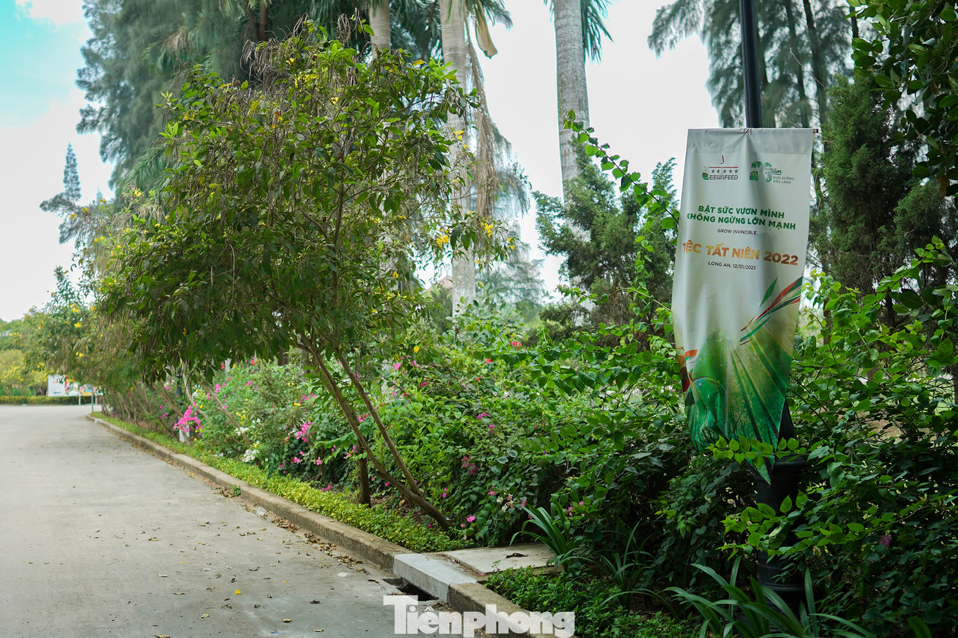 Theo một đơn vị tổ chức sự kiện tại khu phức hợp Happy Land, khu bán vé bên trong có nhiều tiểu cảnh thường chỉ cho thuê để quay phim, chụp ảnh cưới hơn là phục vụ những đoàn khách du lịch...