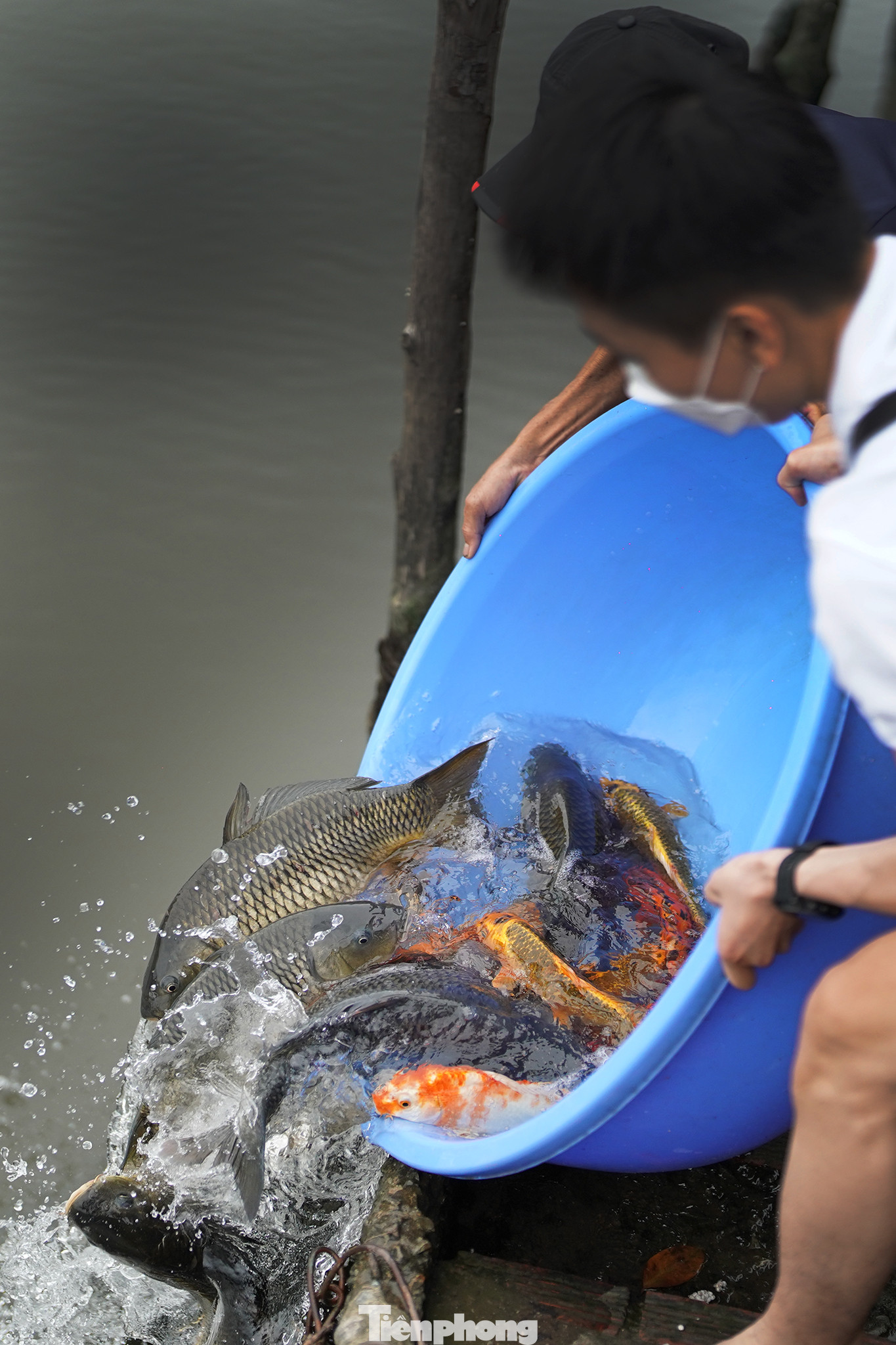 Do nằm giữa sông Vàm Thuật nên nhiều Phật tử thường đến đây phóng sanh, cầu nguyện.
