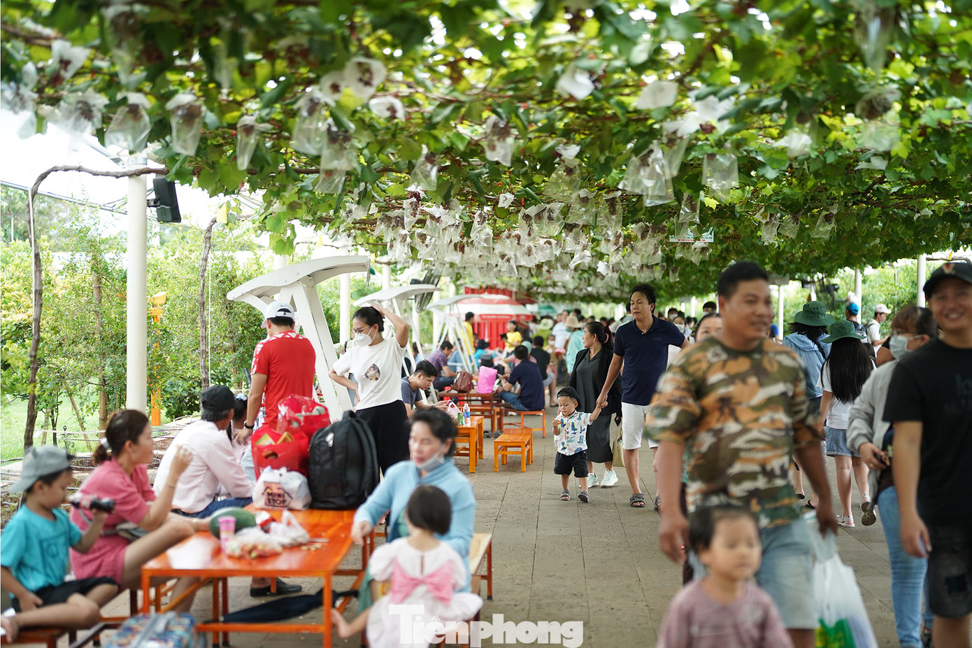 Khu vườn nho không còn một chỗ trống. &quot;Gia đình tôi khó khăn lắm mới tìm được một chiếc bàn trống cho tụi nhỏ nó ngồi&quot;, cô Lê Tuyết Tâm, ngụ huyện Hóc Môn chia sẻ.