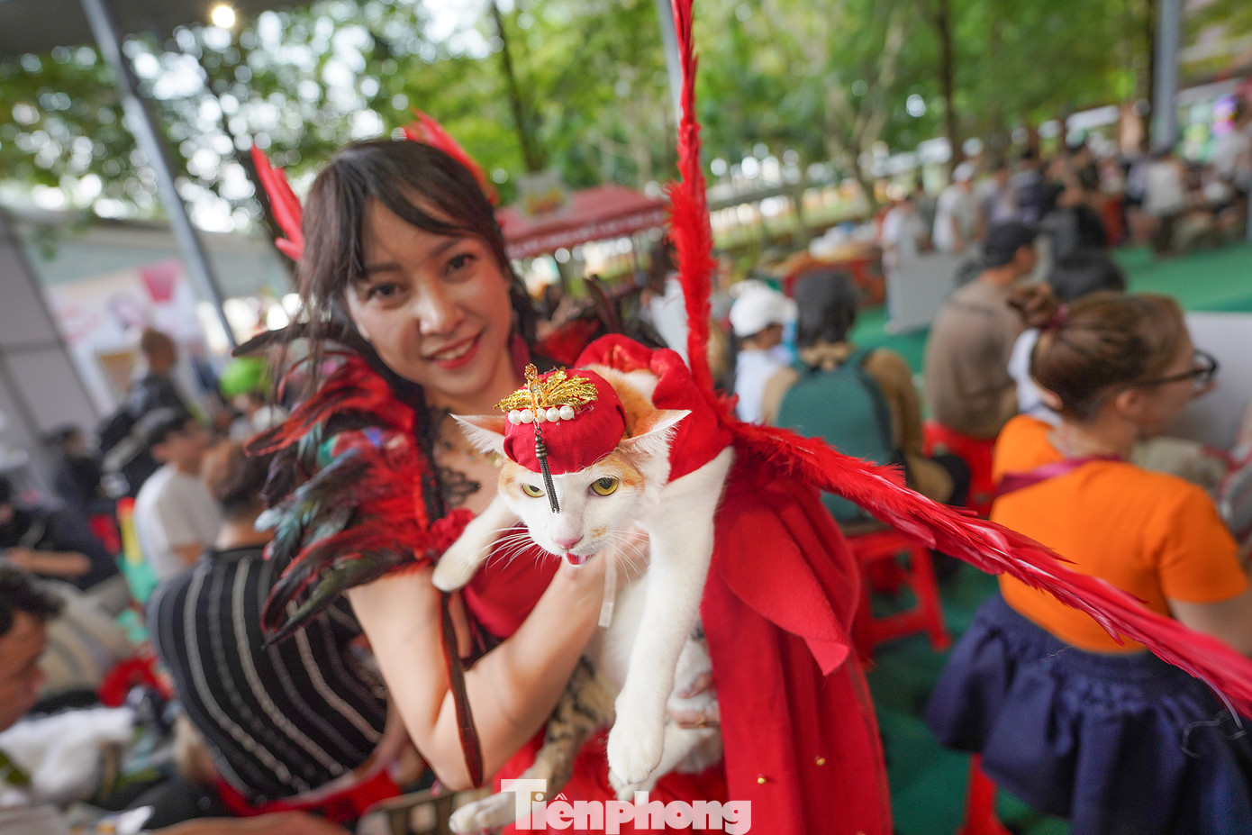 Chị Nguyễn Thảo Hiếu hoá trang chú mèo Misen của mình thành Phượng Hoàng lửa và giành giải cao trong phần thi thời trang thú cưng.