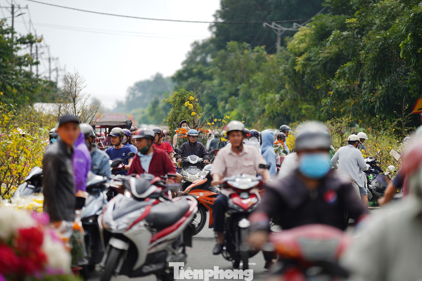 Ngày 29 Tết tại khu chợ này, giá hoa có giảm nhưng chỉ &quot;nhỏ giọt&quot;. Tâm lý nhiều người mua chờ các chủ sạp trả mặt bằng, xả bỏ hàng để ép giá nên càng về trưa, lượng người đổ về khu chợ này càng đông.