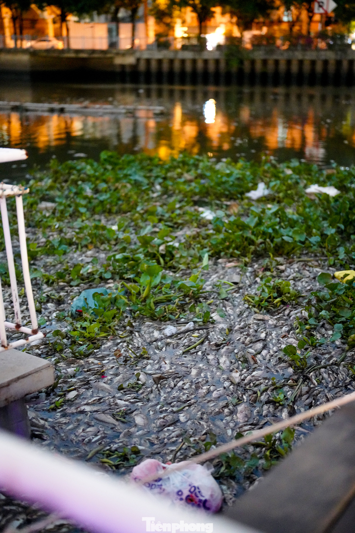 Sự việc không chỉ gây ô nhiễm môi trường nghiêm trọng mà còn ảnh hưởng đến nỗ lực cải tạo kênh trong suốt thời gian qua.