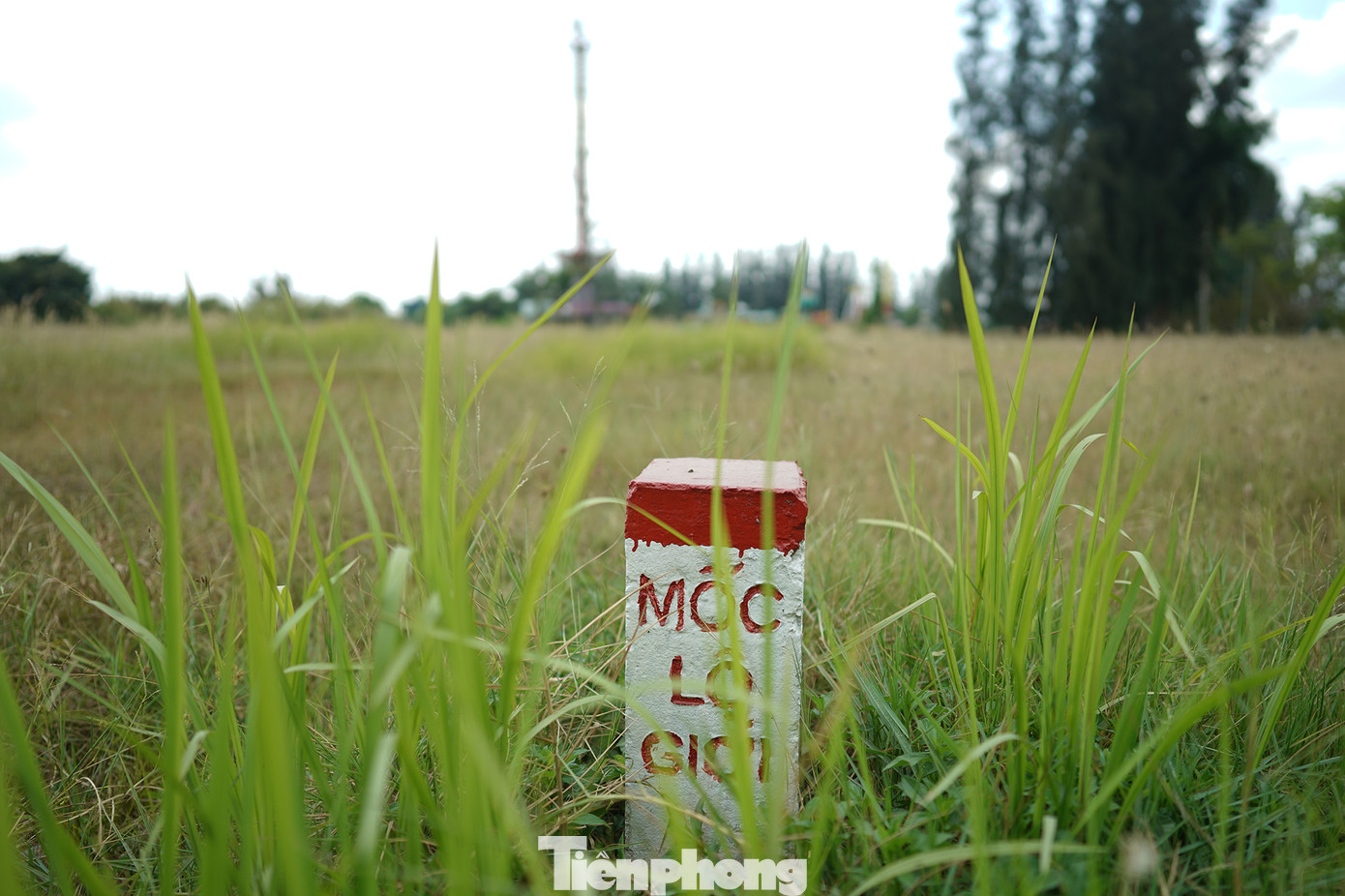 Dự án này được thiết kế cho lượng du khách lên đến 14 triệu lượt người/năm. Tuy nhiên, từ khi được khởi công đến nay, dự án vẫn... "đứng hình". Ngoài cổng chào được xây dựng xong, một số hạng mục khác vẫn ì ạch như khu vui chơi, giải trí… trong tương lai hiện nay vẫn còn là bãi đất sình lầy, đầy cỏ mọc…