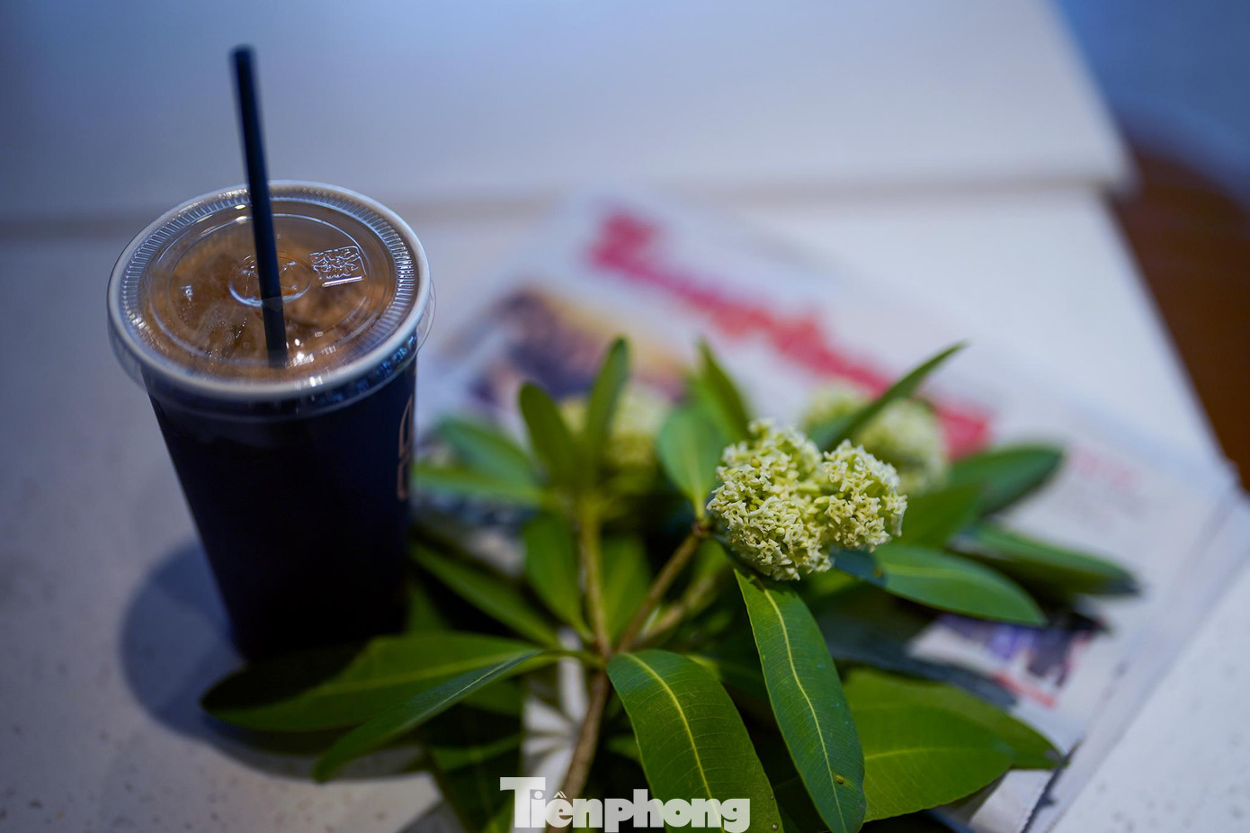 &quot;Nhà tôi nằm trên đường Nguyễn Lương Bằng, trung tâm của Phú Mỹ Hưng, khá gần với hàng hoa sữa này. Thói quen khó bỏ của tôi là uống cà phê không đường mỗi sáng, nhưng vì công việc, mình không có nhiều thời gian như thời sinh viên ở Hà Nội có thể la cà, nhâm nhi ly cà phê, ngắm hoa sữa... Cứ vào những tháng này, khi có hoa sữa thì mình cũng cố nhờ bạn bè tặng nhật báo, nhặt một cành hoa sữa, mua một ly cà phê &apos;vội&apos;... để tìm chút cảm xúc về Hà Nội&quot;, anh Đạt bộc bạch.