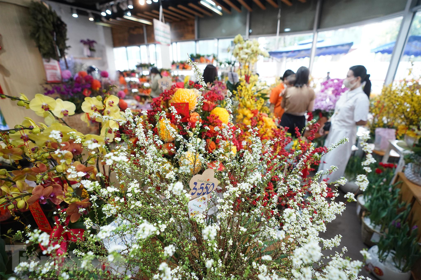 Một chậu Tuyết Mai có giá hơn 3,5 triệu.