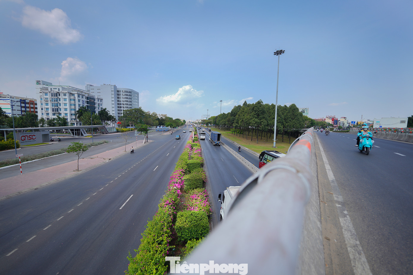 Hoa giấy có nét đẹp giản dị, thường nở rộ vào mùa nắng nóng.