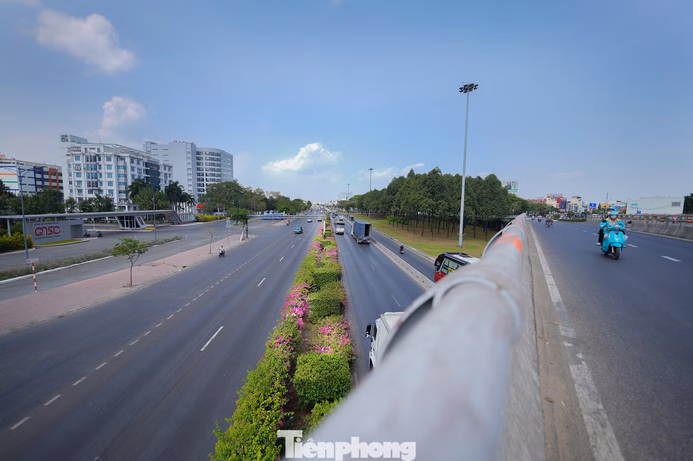 Hoa giấy có nét đẹp giản dị, thường nở rộ vào mùa nắng nóng.