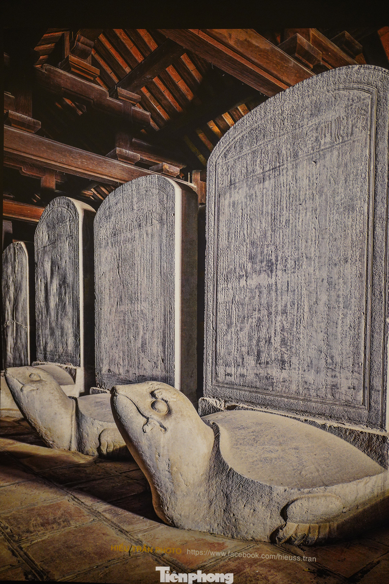 Các tấm bia tiến sĩ ở đây đều được đặt trên lưng Rùa với 3 lý do. Về mặt tâm linh: Rùa thuộc tứ linh: Long, Ly, Quy, Phượng. Về mặt lịch sử, rùa được coi là vị Thần của dân tộc (Thần Kim Quy). Về mặt sinh học, rùa là một sinh vật khỏe mạnh, sống lâu.