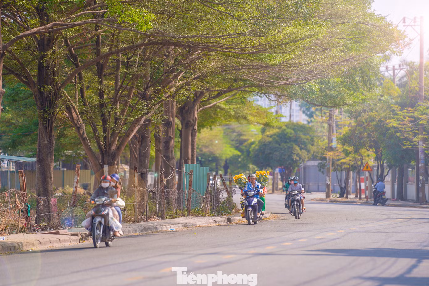 Đường CN1, KCN Tân Bình ngày cuối năm Quý Mão.