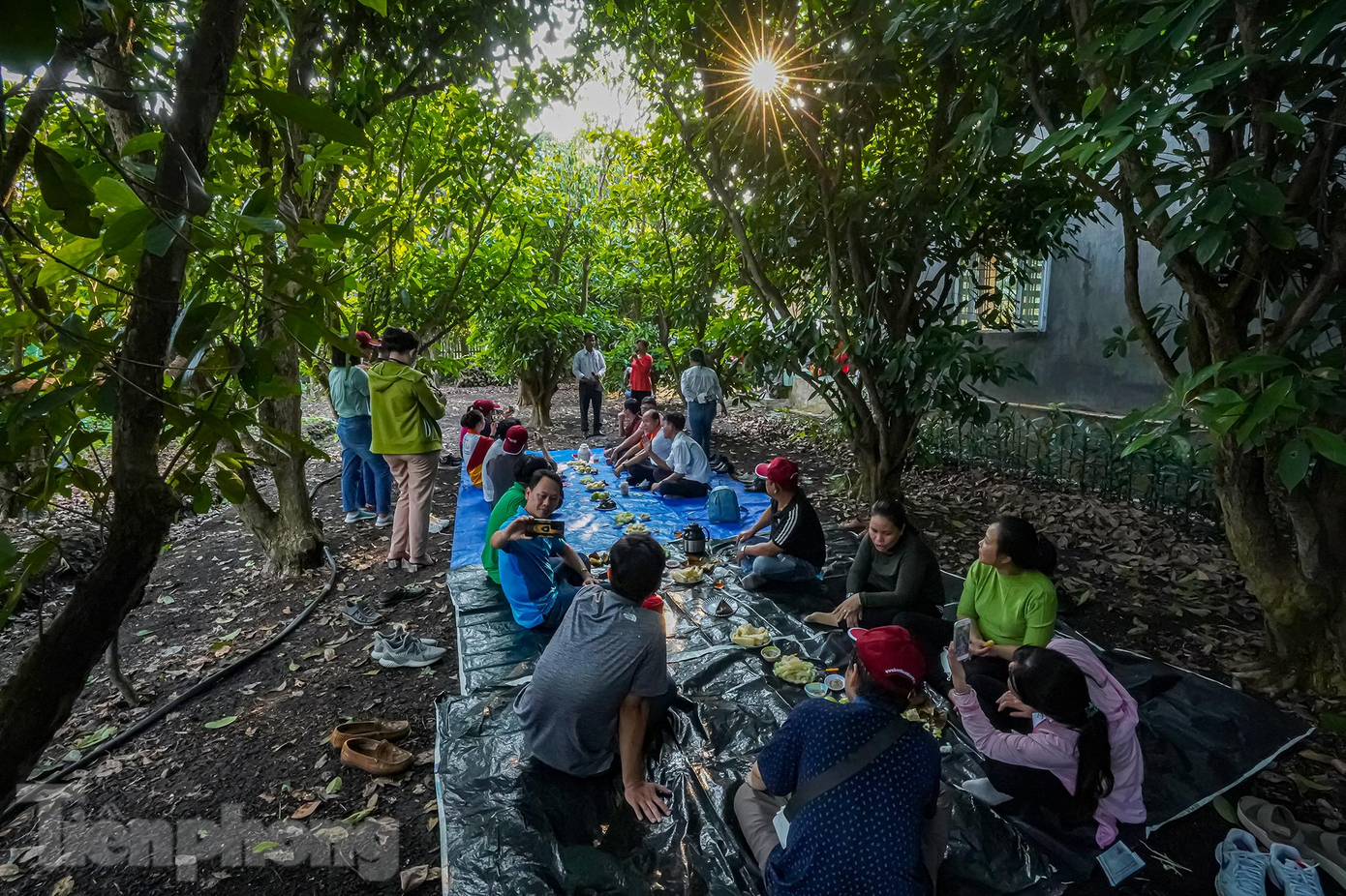 Du khách thưởng thức trái cây và giao lưu đờn ca tài tử tại vườn trái cây Mười Nheo ở xã Trung An.