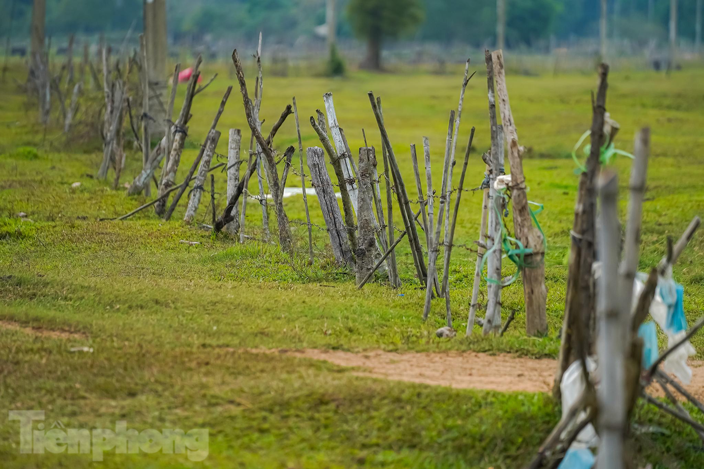 Một hàng rào tạm bợ kéo dài hàng cây số bên trong khu Safari Sài Gòn.