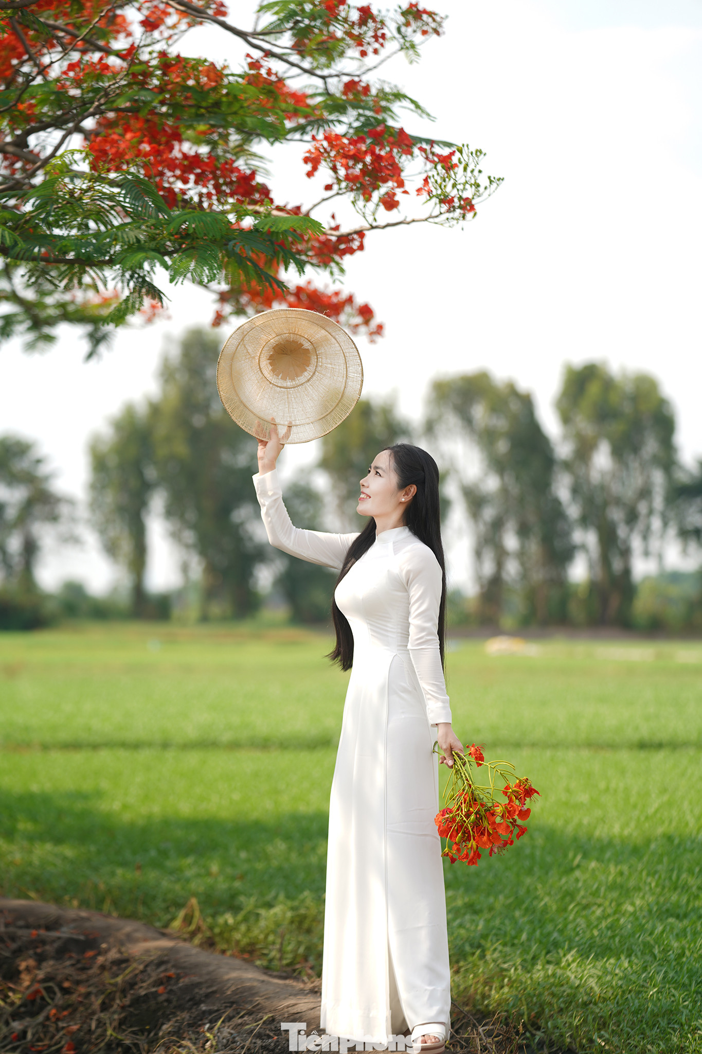 Bạn Nguyễn Thị Trúc Lan (ngụ quận 7, TPHCM), một người mẫu ảnh, cho biết mấy hôm nay, khi hình ảnh "cây phượng cô đơn" được chia sẻ rộng trên mạng xã hội cô cảm thấy háo hức nên đã tìm đến đây chụp ảnh, mặc dù cách nhà gần ba mươi km.