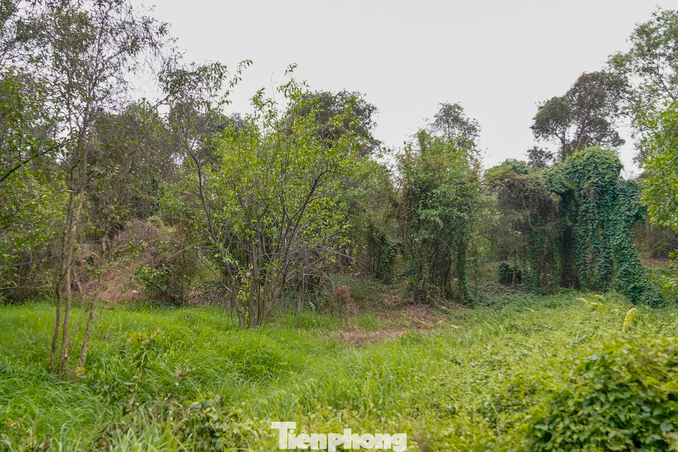 Theo một số hộ dân, phần đất của người dân ở rìa bãi rác bị trồi lên tầm 2m do áp lực từ trọng lượng của bãi rác chèn ép tạo thành những con dốc. Theo một số hộ dân, phần đất của người dân ở rìa bãi rác bị trồi lên tầm 2m do áp lực từ trọng lượng của bãi rác chèn ép tạo thành những con dốc.