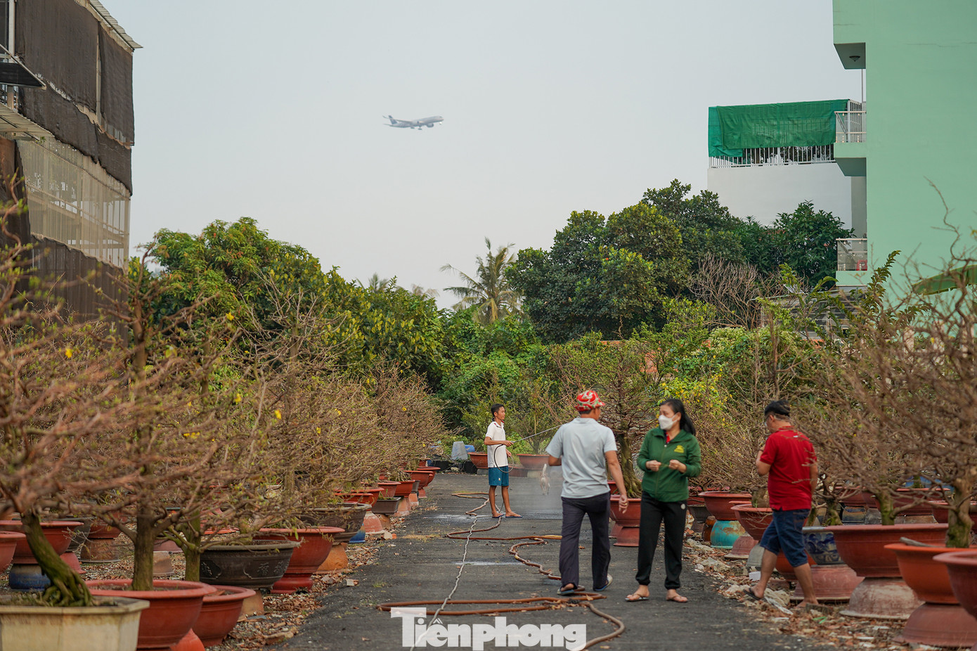 Khách gửi mai nhờ chăm sóc đang chuẩn bị nhận lại chuyển về nhà Khách gửi mai nhờ chăm sóc đang chuẩn bị nhận lại chuyển về nhà