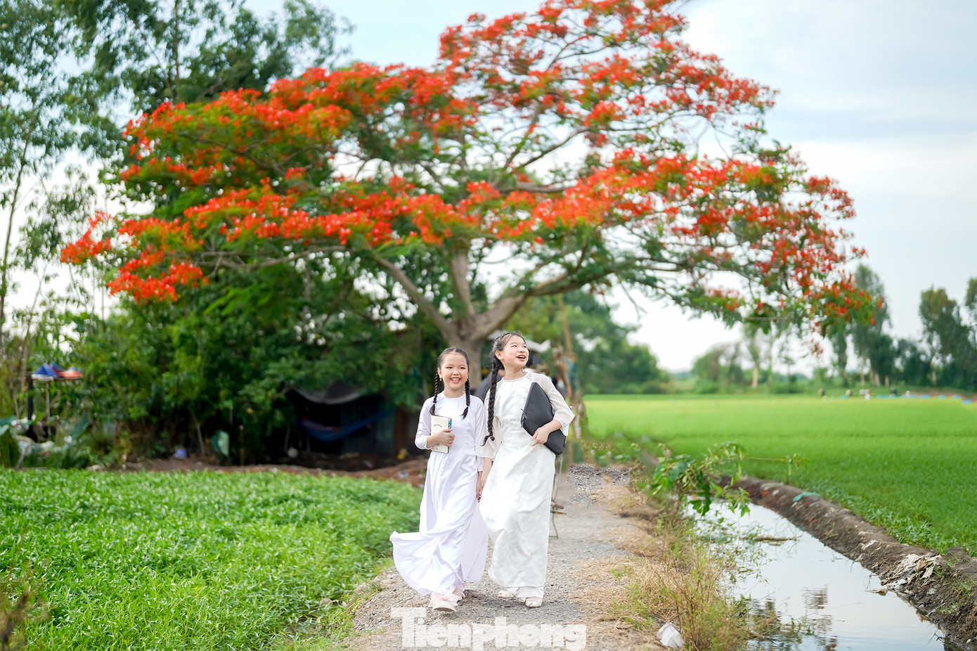 Bé Hoàng Uyên (11 tuổi, bên phải, ngụ quận Gò Vấp) và Bảo Ngân (10 tuổi, ngụ Quận 8) lần đầu đến chụp ảnh lưu niệm tại đây cũng khá phấn khích.