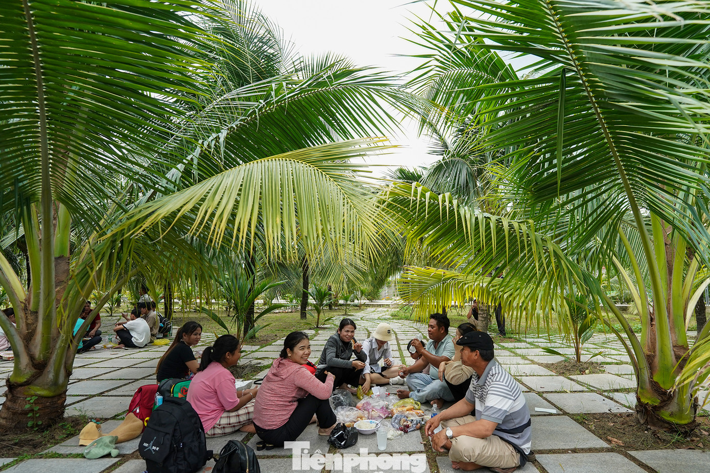 Nhiều gia đình tranh thủ vào khu vườn dừa để chọn dành chỗ trải bạt để gia đình ăn uống.