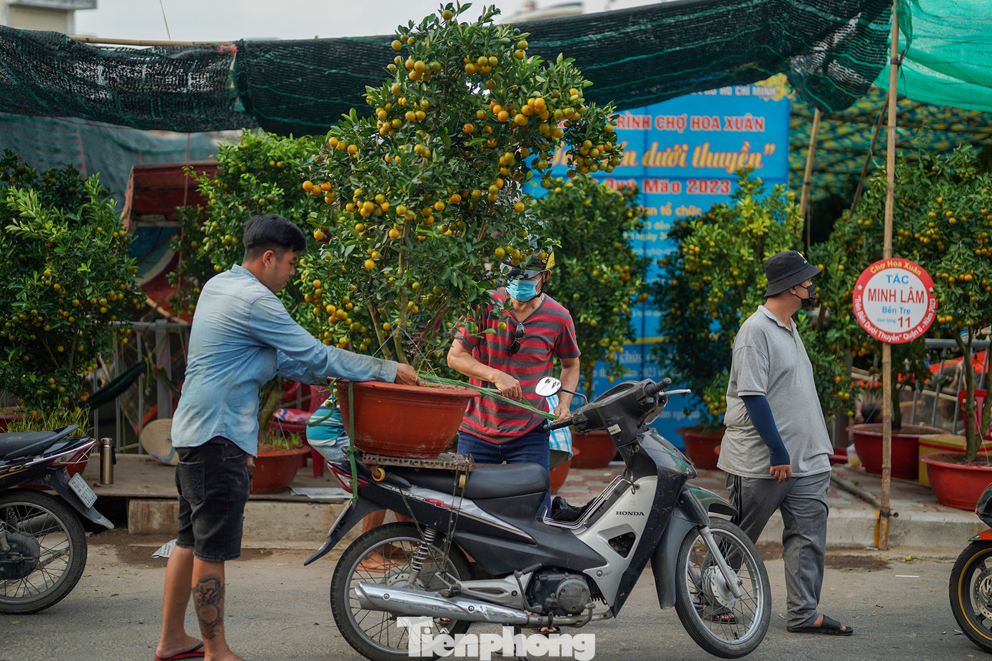 Một chậu kim quất được bán với giá 700.000 đồng.