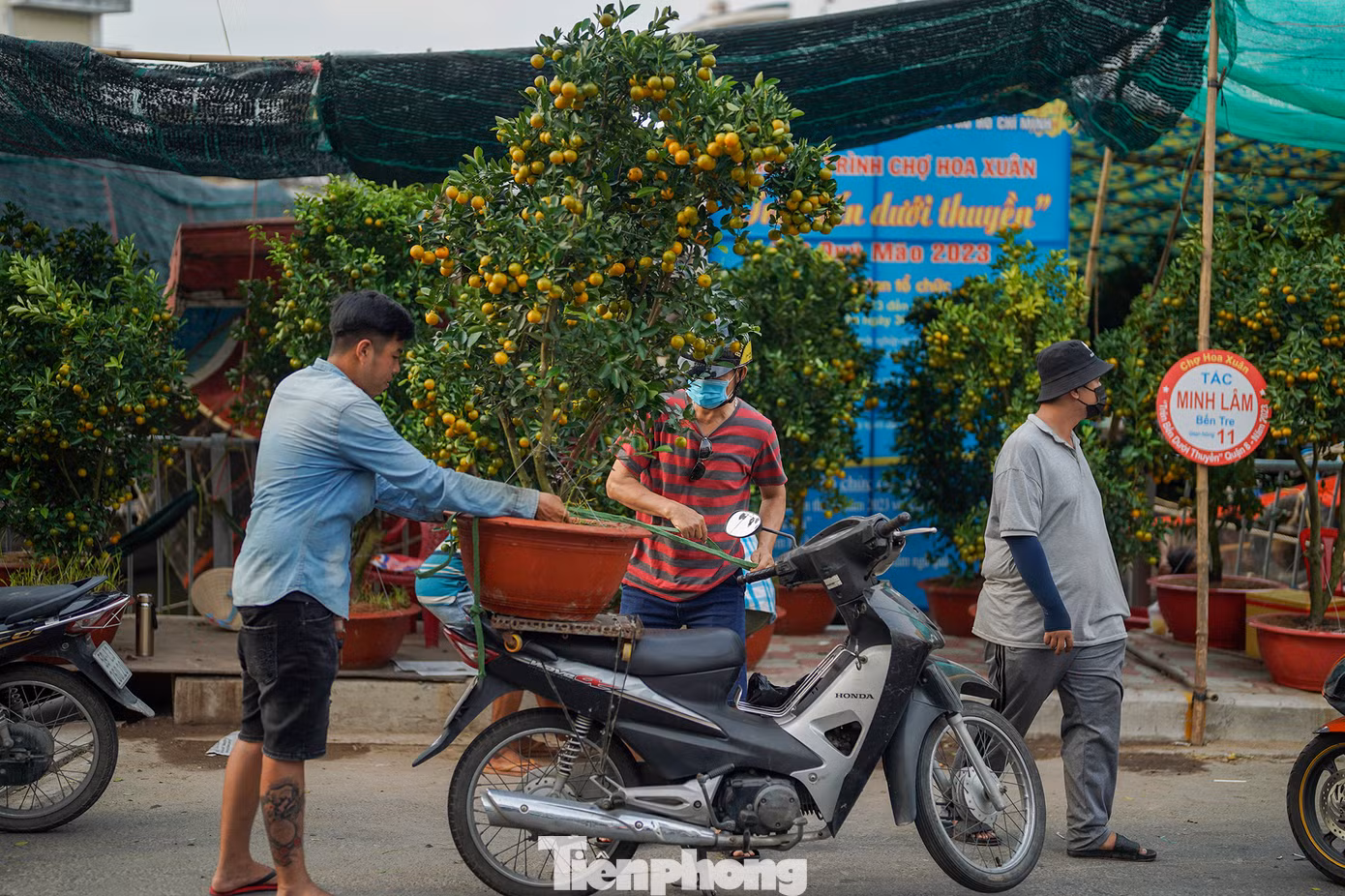 Một chậu kim quất được bán với giá 700.000 đồng.
