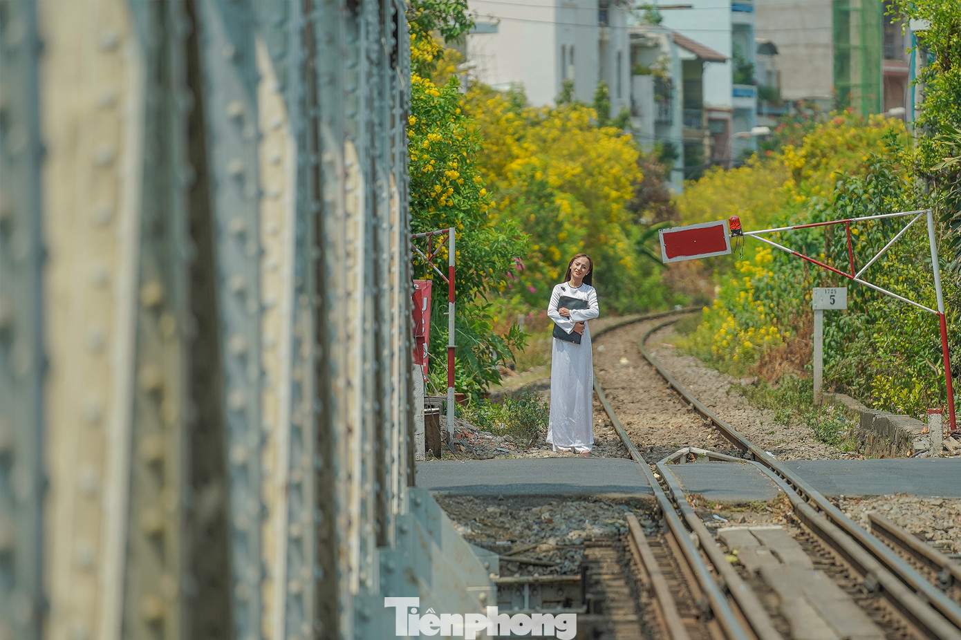 Đoạn hoa huỳnh liên nở nhiều nhất nằm ở một con hẻm cặp đường ray xe lửa ga Sài Gòn trên đường Lê Văn Sỹ (quận Phú Nhuận).