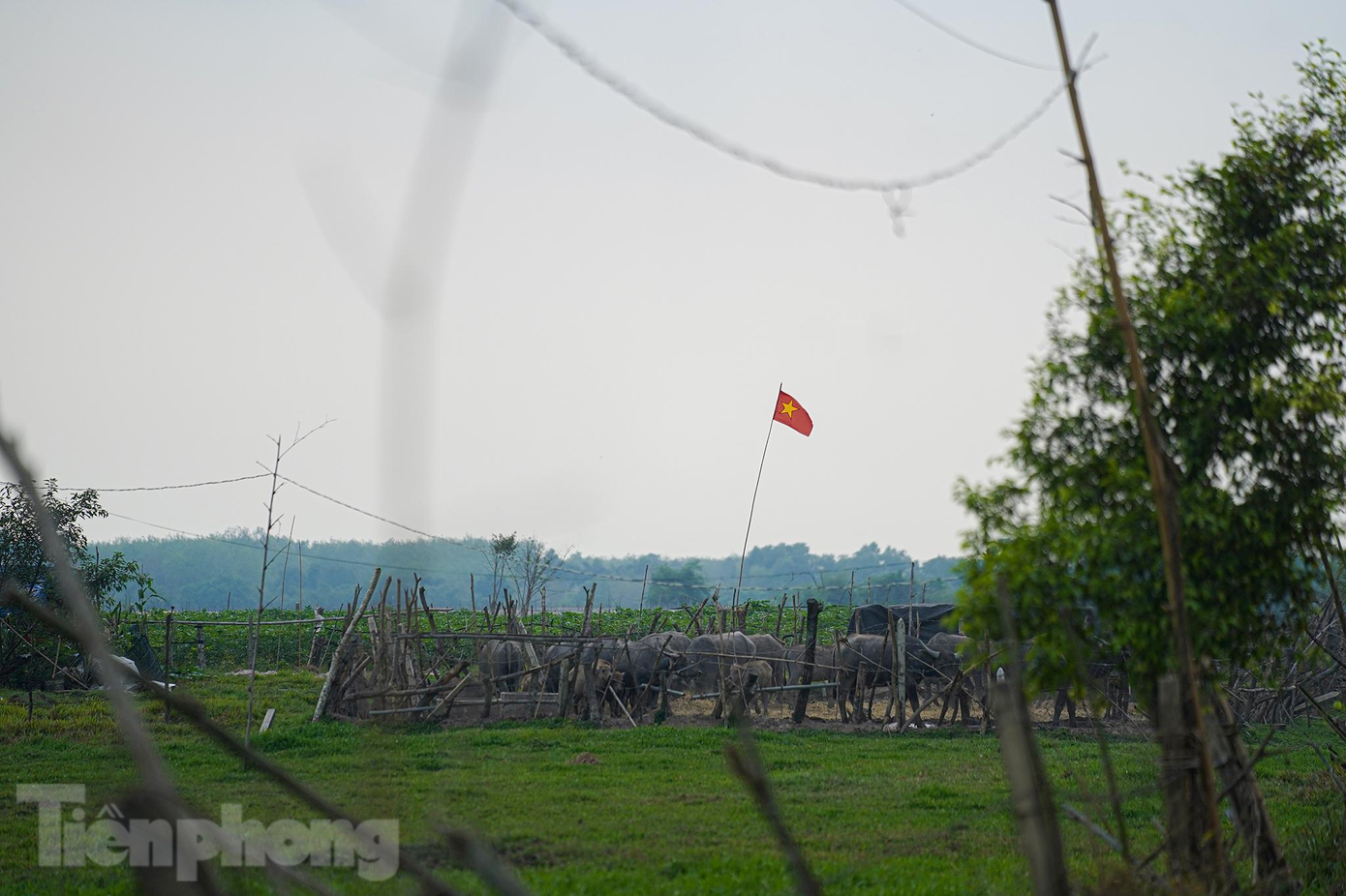 Cuối năm 2021, UBND huyện Củ Chi đã kiến nghị UBND TP HCM chấp thuận chủ trương cho điều chỉnh quy hoạch Khu công viên Sài Gòn Safari (Sài Gòn Safari) có quy mô 456,85ha, sang chức năng khu công nghiệp kỹ thuật cao, để tạo điều kiện cho huyện thu hút đầu tư, phát triển kinh tế - xã hội trên địa bàn huyện.