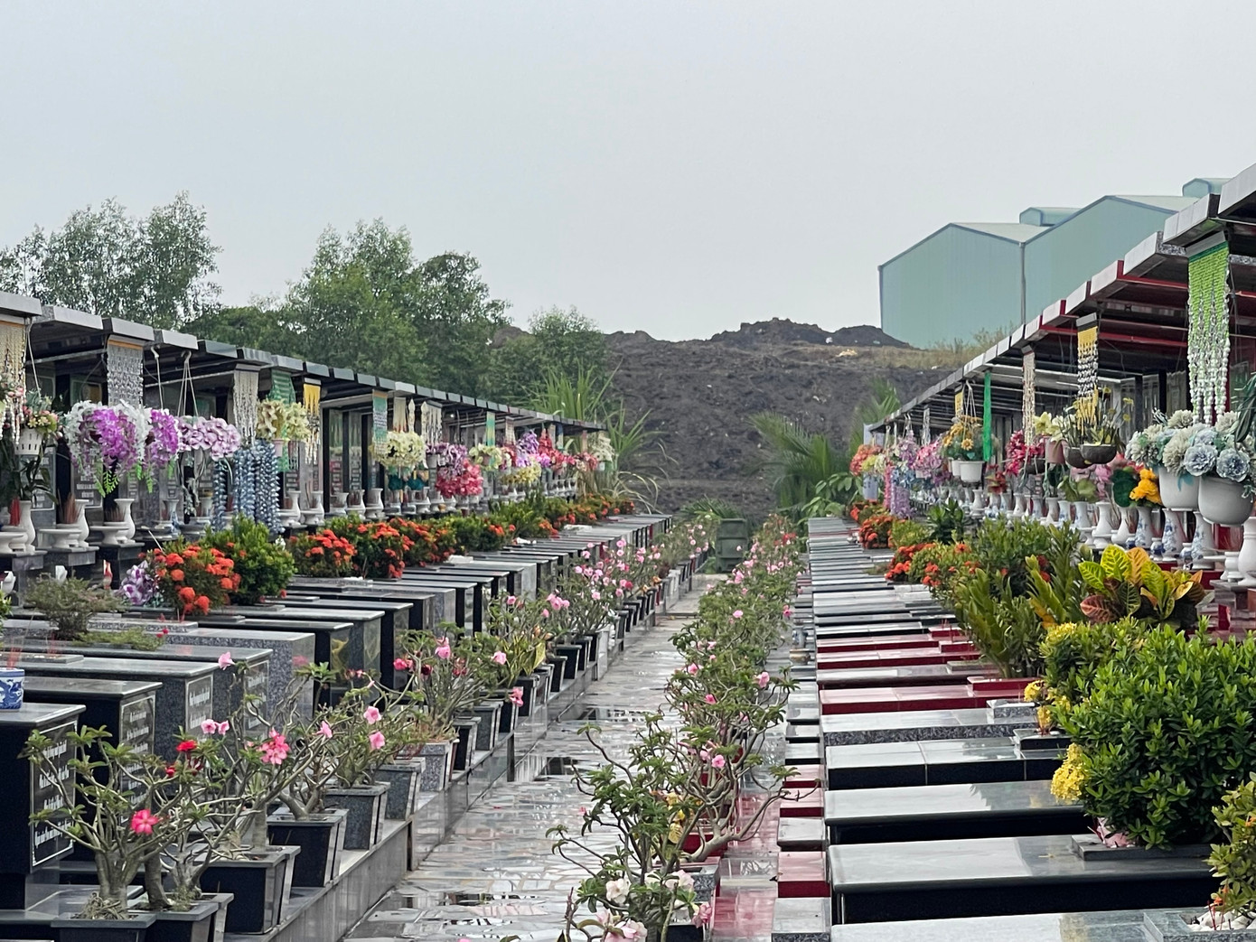 Một người làm mộ trong nghĩa trang Đa Phước kể: "Ngày xưa cái đồi đất ấy đâu có, nguyên một cánh đồng hoang. Mấy công ty này về giờ đống đất đó cao vậy đó. Bên đó cứ chiều muộn là bắt đầu rải chất gì đó, mùi rất kinh khủng".
