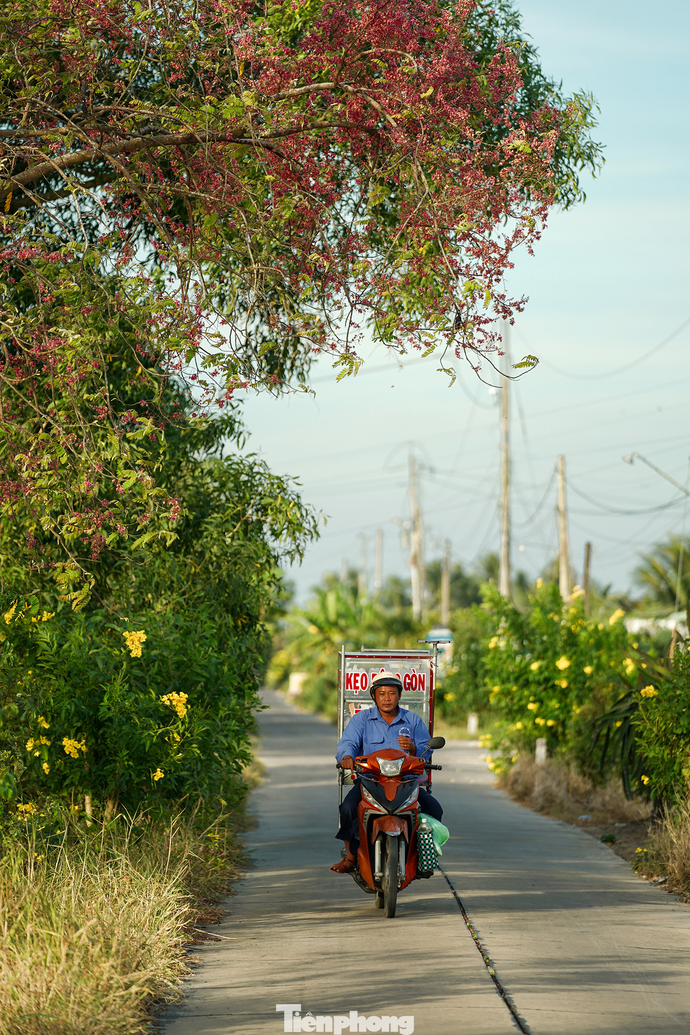 Hình ảnh đậm chất quê lọt vào khung ảnh.