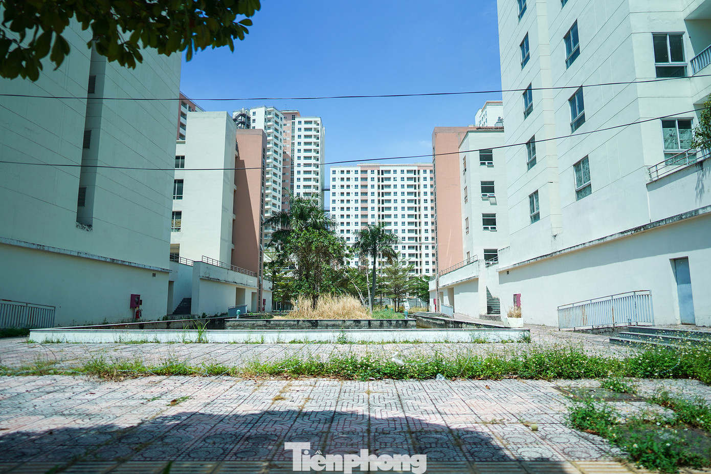 Bên trong một khu vực dịch vụ từng là Bệnh viện dã chiến số 11 cỏ mọc um tùm vì từ lâu không người ở.